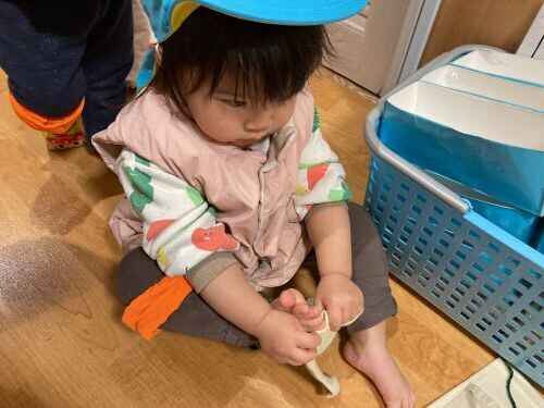 https://hoiku.shopro.co.jp/hoiku/2026/01/22/img/2026/01/55281622120264210.jpg