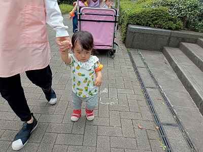 https://hoiku.shopro.co.jp/hoiku/img/2023/06/23510306202351800.jpg