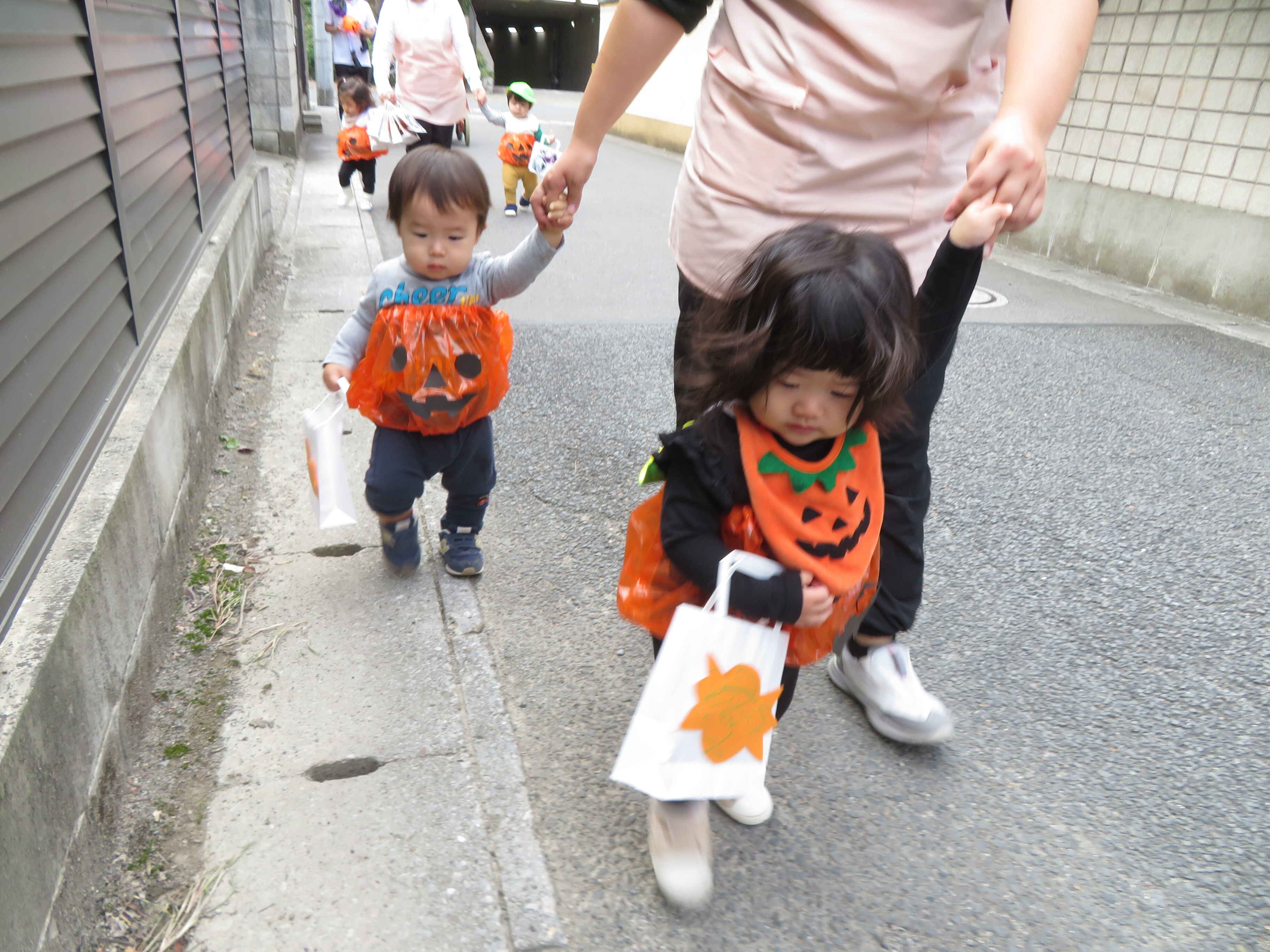 https://hoiku.shopro.co.jp/hoiku/img/2023/10/3233113110202323030.JPG