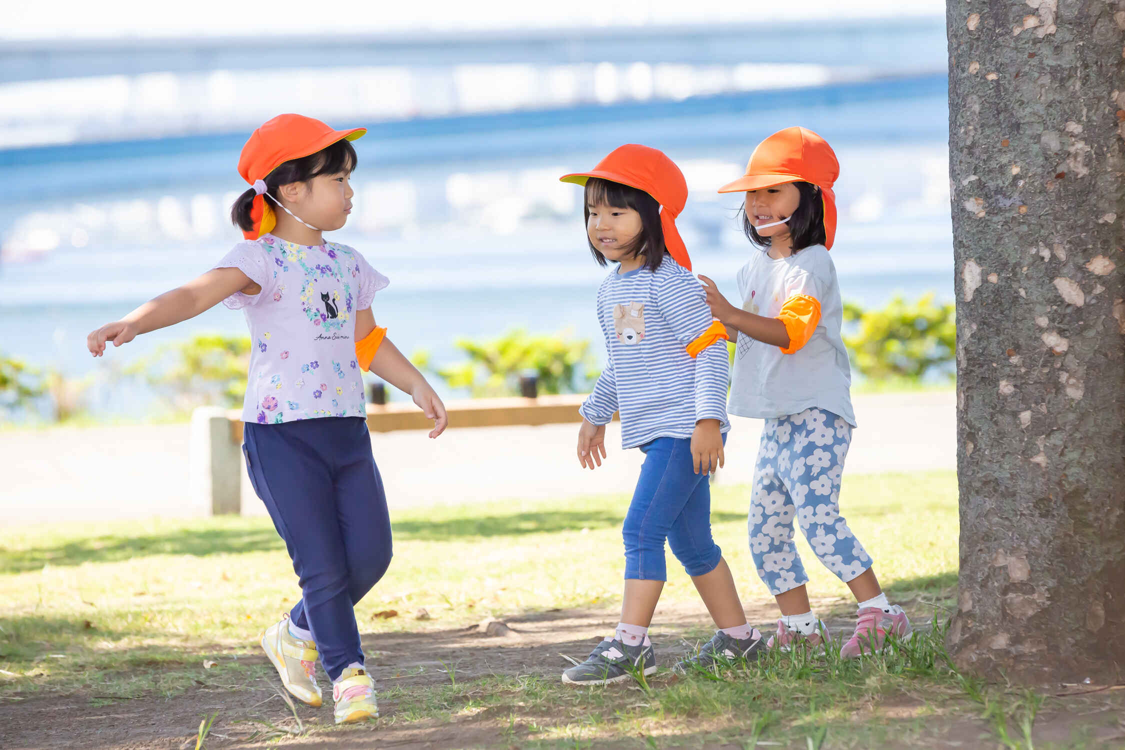 https://hoiku.shopro.co.jp/hoiku/img/2023/10/50102610202342980.jpg