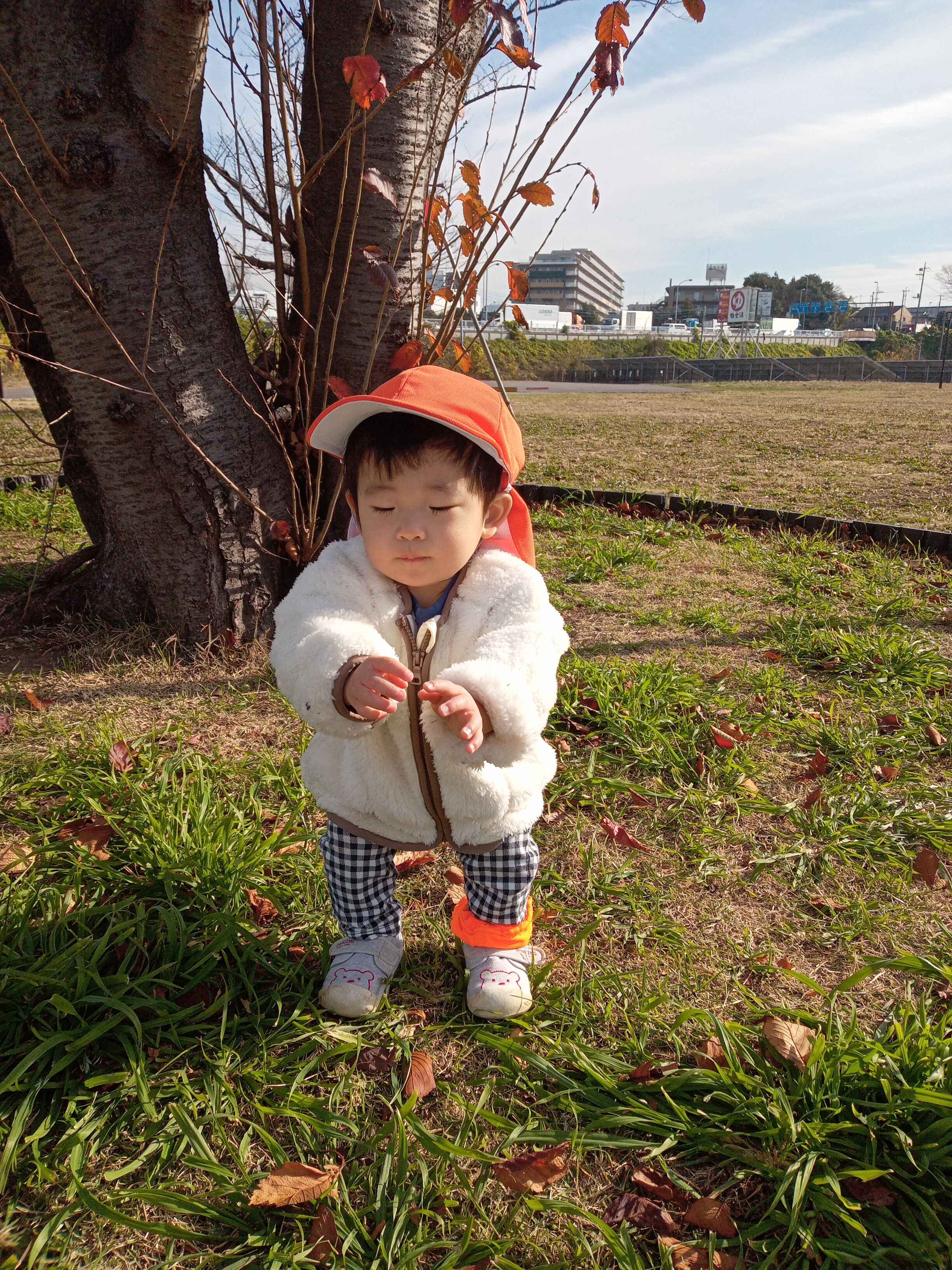 https://hoiku.shopro.co.jp/hoiku/img/2023/12/363192812202343610.jpg