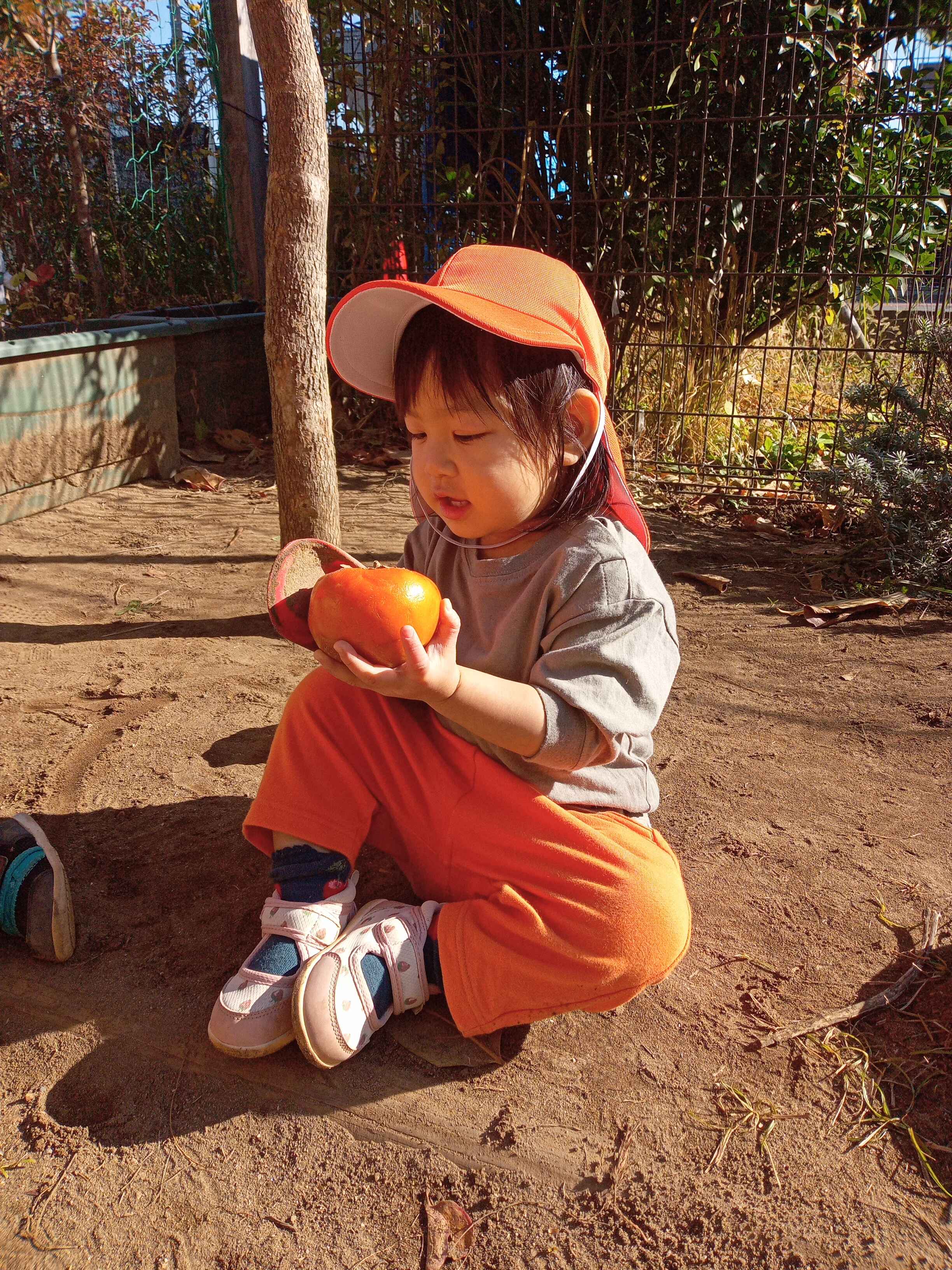 https://hoiku.shopro.co.jp/hoiku/img/2023/12/412892812202343610.jpg