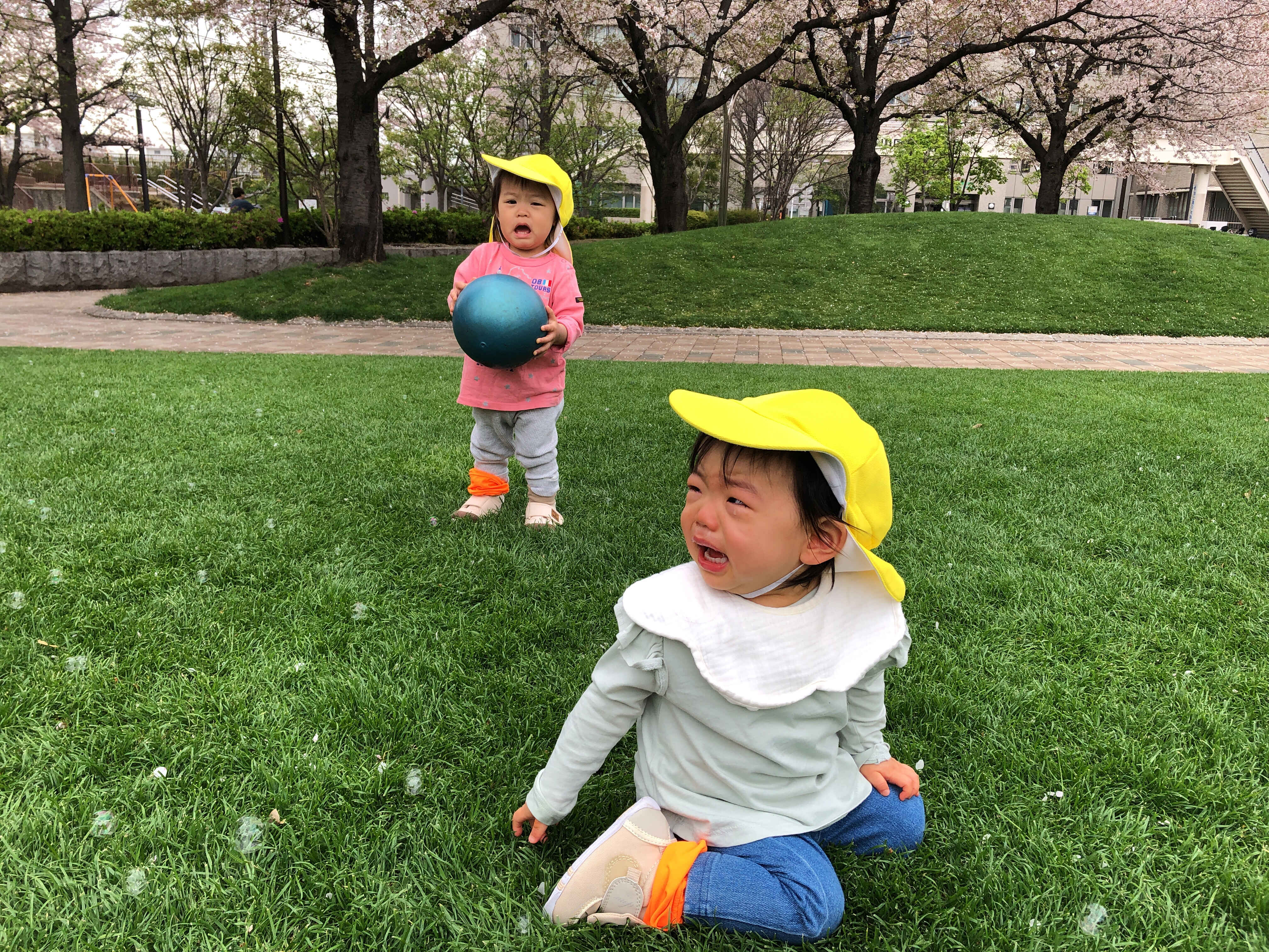 https://hoiku.shopro.co.jp/hoiku/img/2024/04/304014174202431070.jpg
