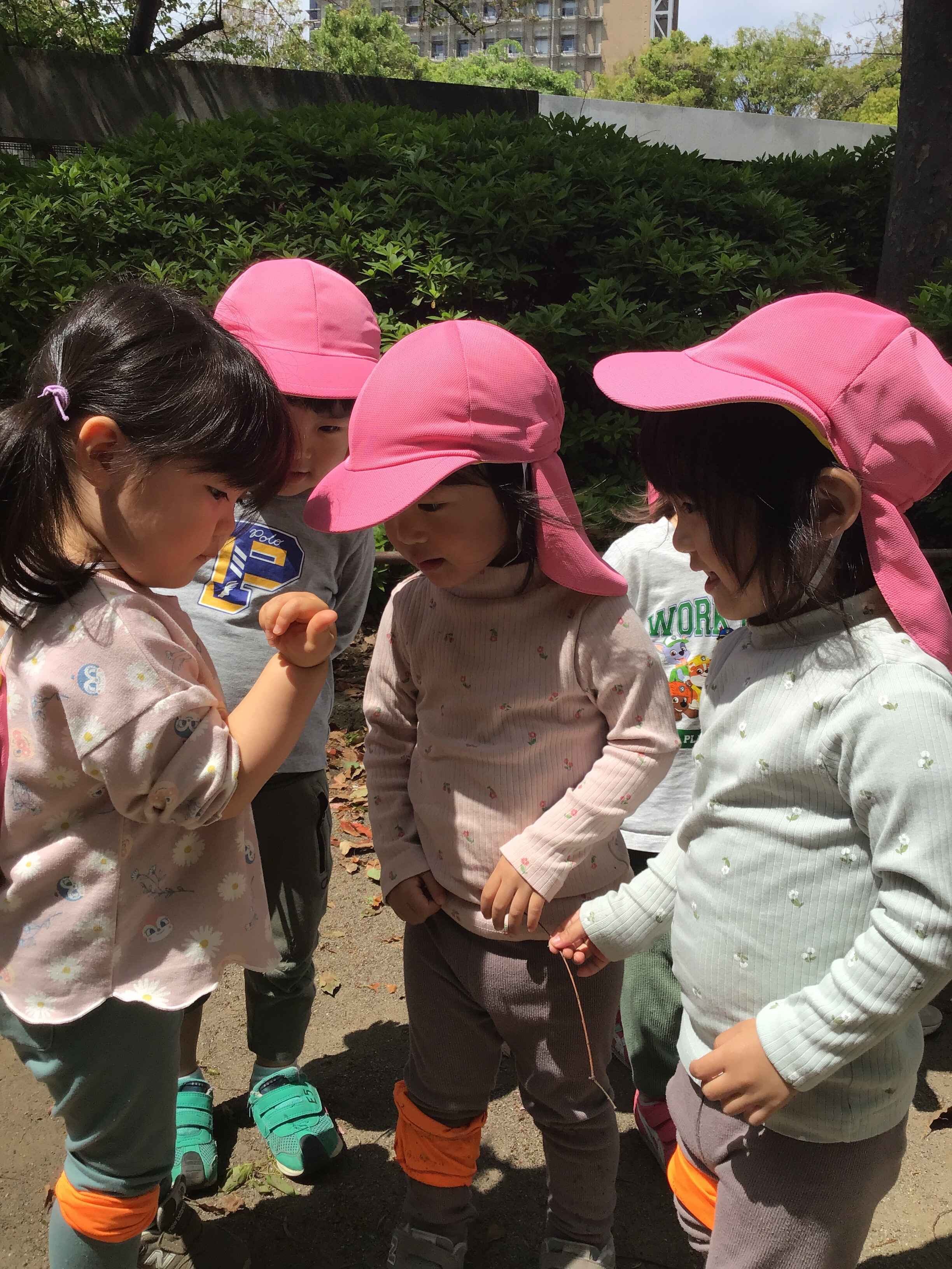 https://hoiku.shopro.co.jp/hoiku/img/2024/04/492510244202431140.jpg