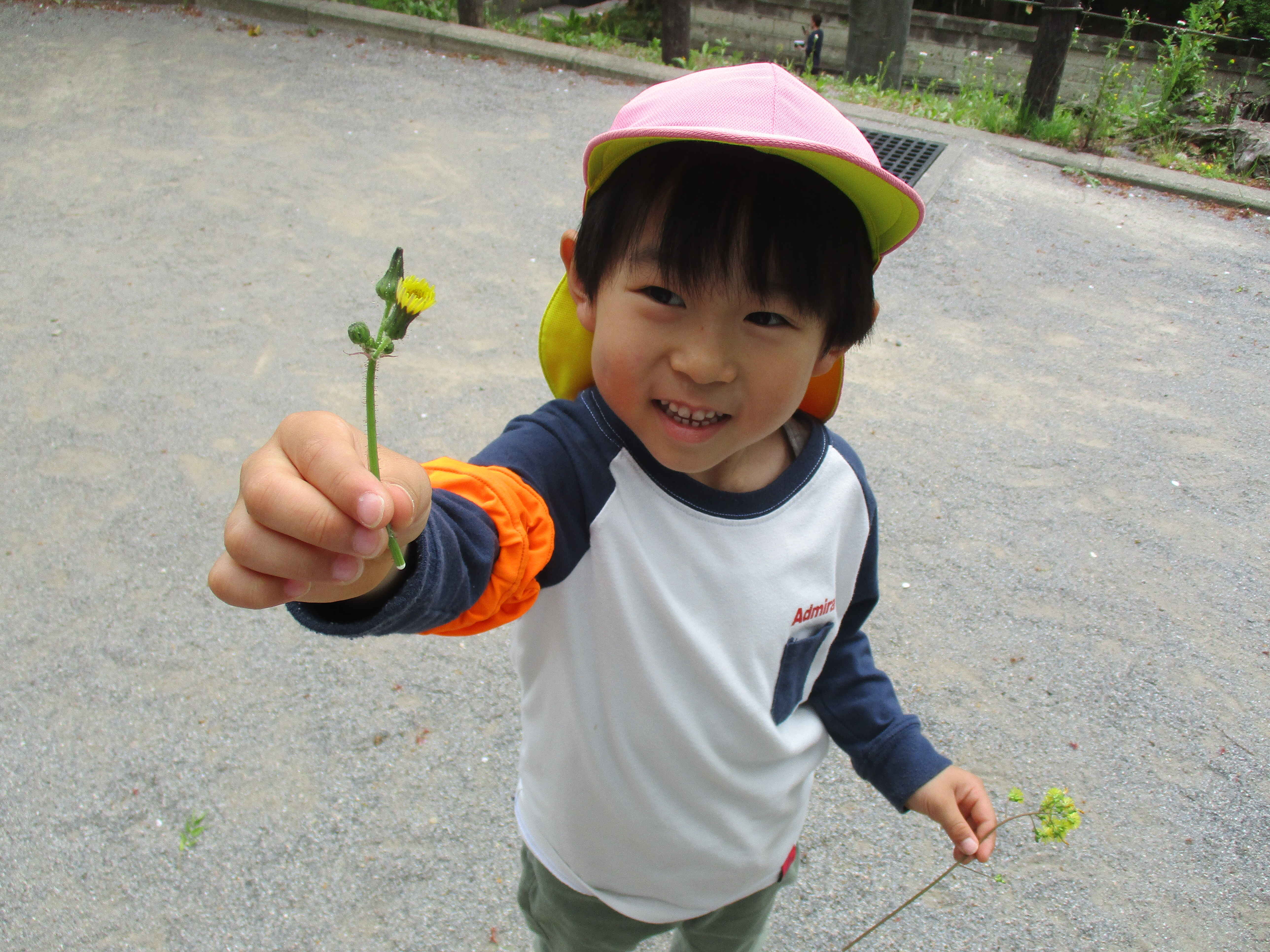 https://hoiku.shopro.co.jp/hoiku/img/2024/04/591017184202441080.JPG