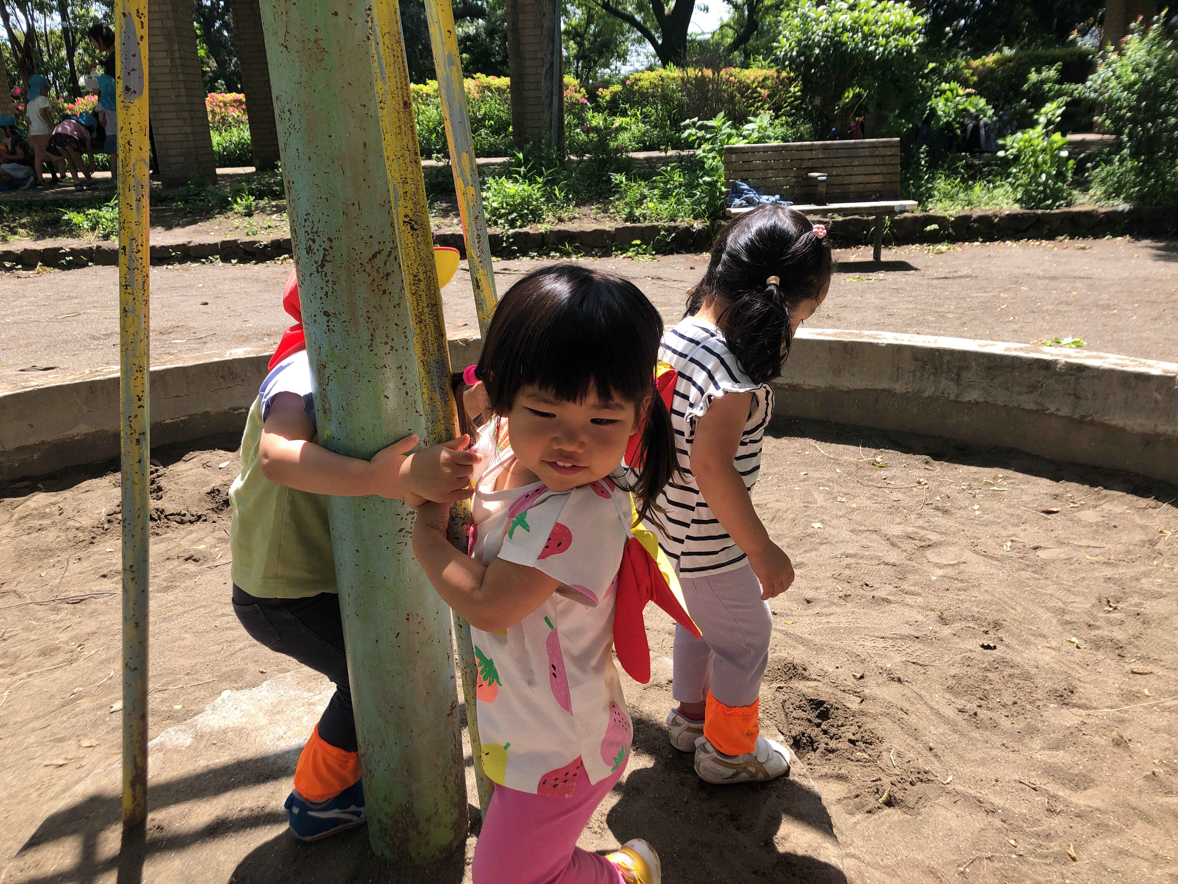 https://hoiku.shopro.co.jp/hoiku/img/2024/05/133616175202451370.jpg
