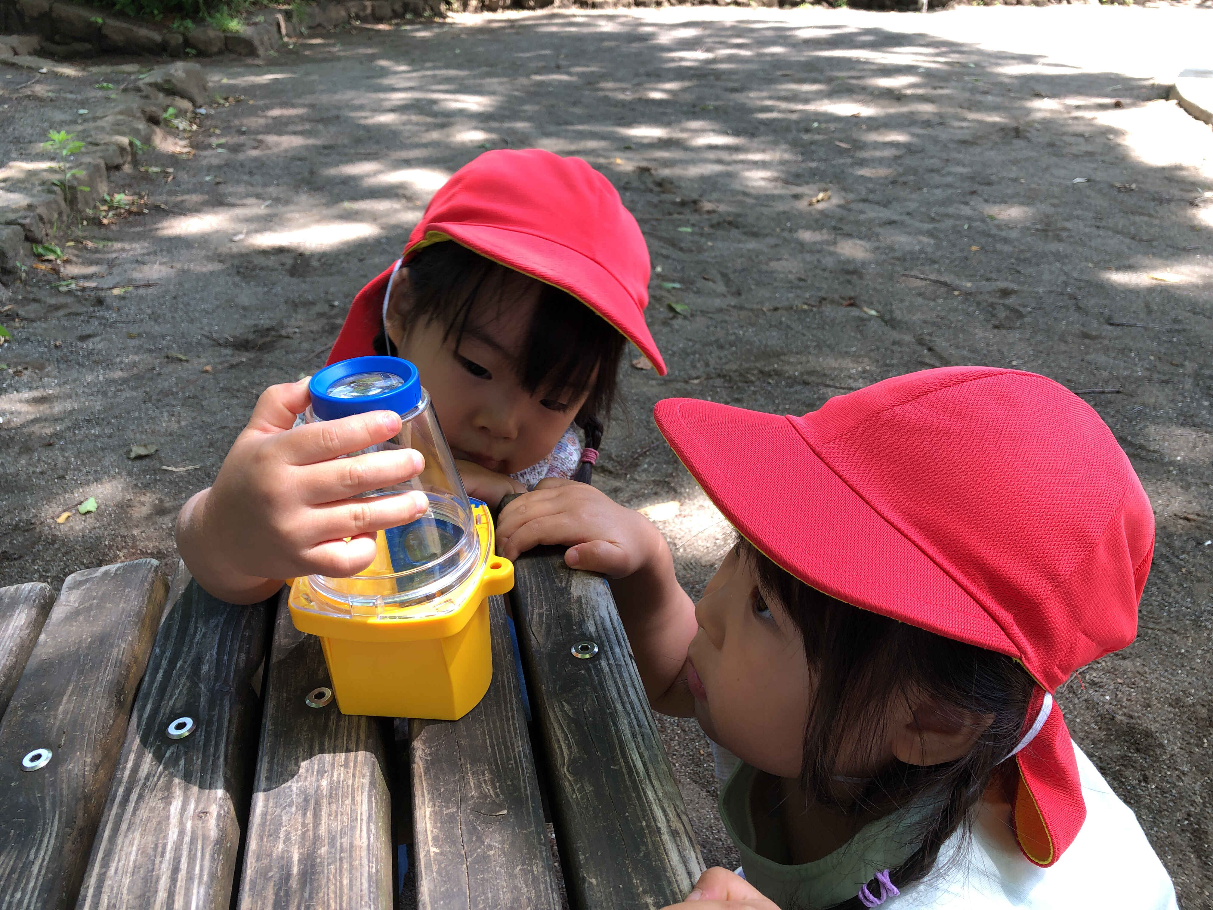 https://hoiku.shopro.co.jp/hoiku/img/2024/05/173916175202451370.jpg