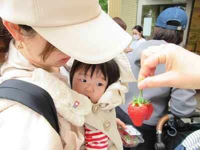 https://hoiku.shopro.co.jp/hoiku/img/2024/05/274718155202431350.JPG