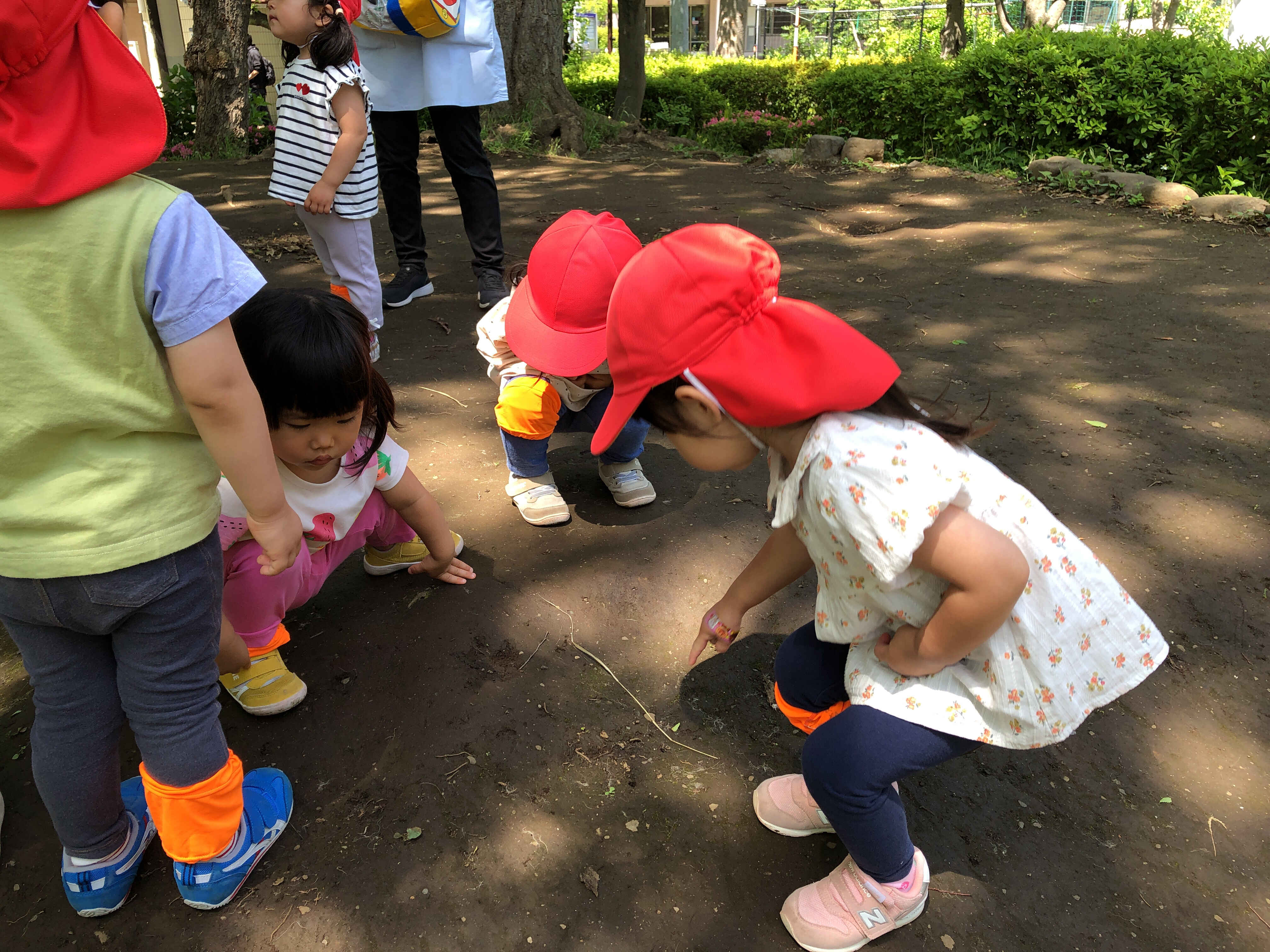 https://hoiku.shopro.co.jp/hoiku/img/2024/05/381616175202451370.jpg