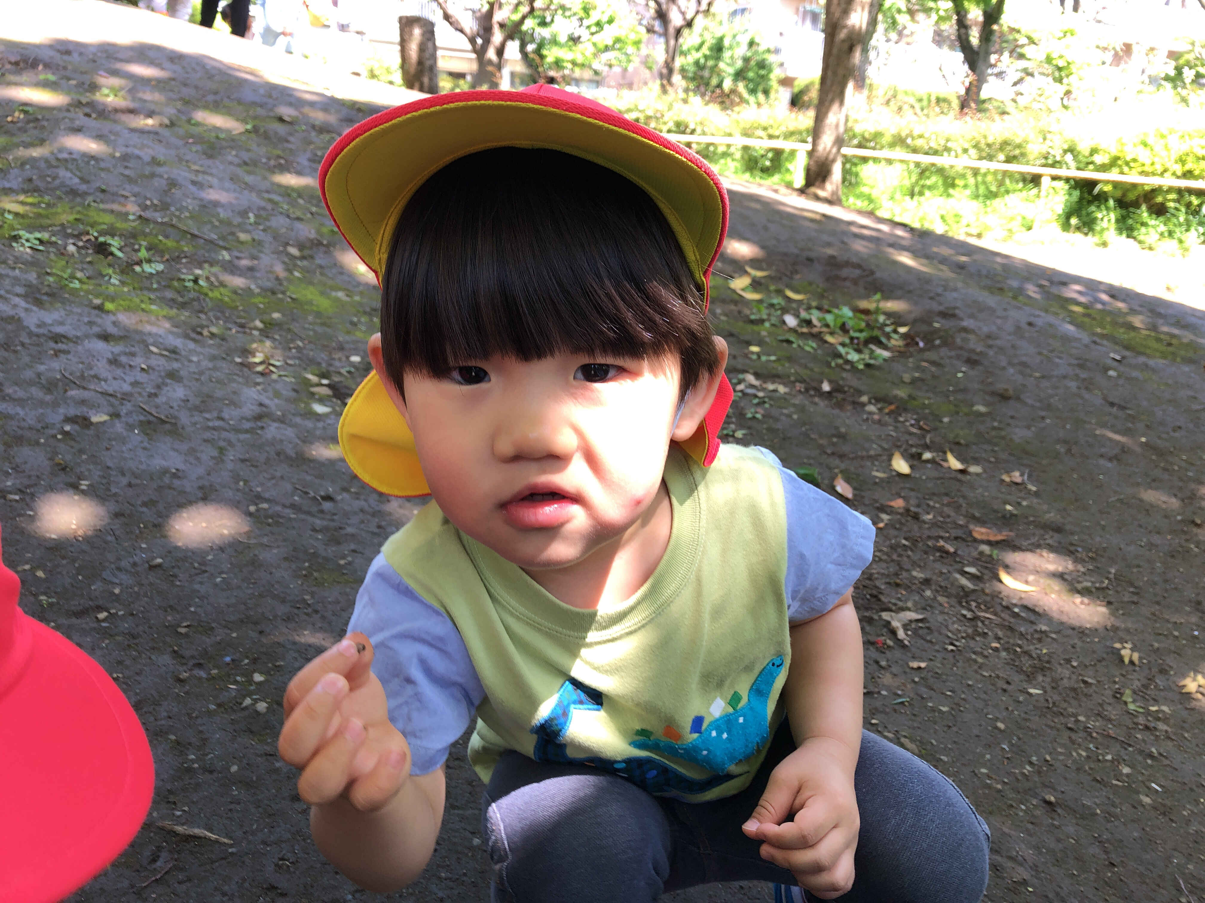 https://hoiku.shopro.co.jp/hoiku/img/2024/05/422016175202451370.jpg
