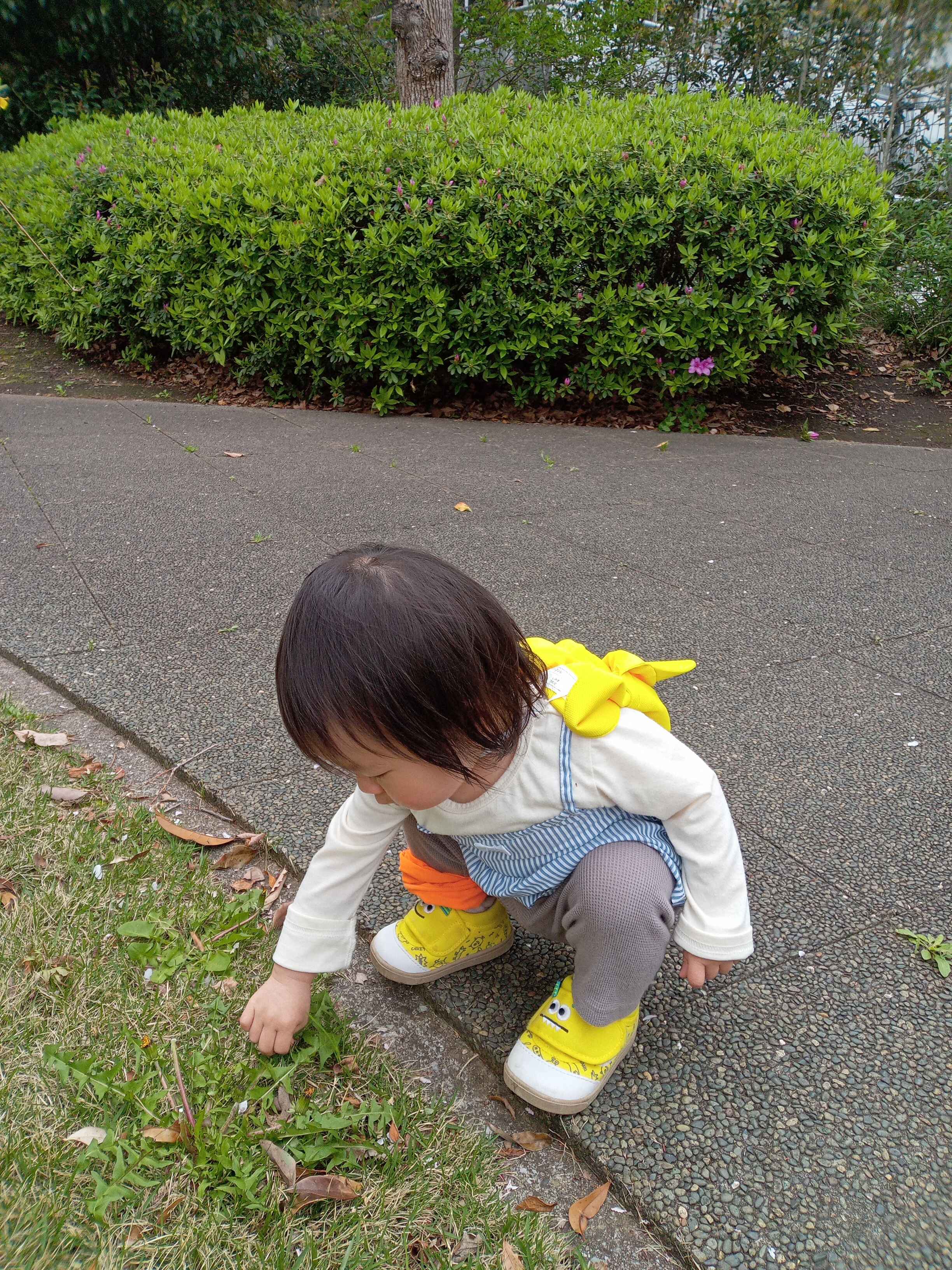 https://hoiku.shopro.co.jp/hoiku/img/2024/05/62216145202421340.jpg