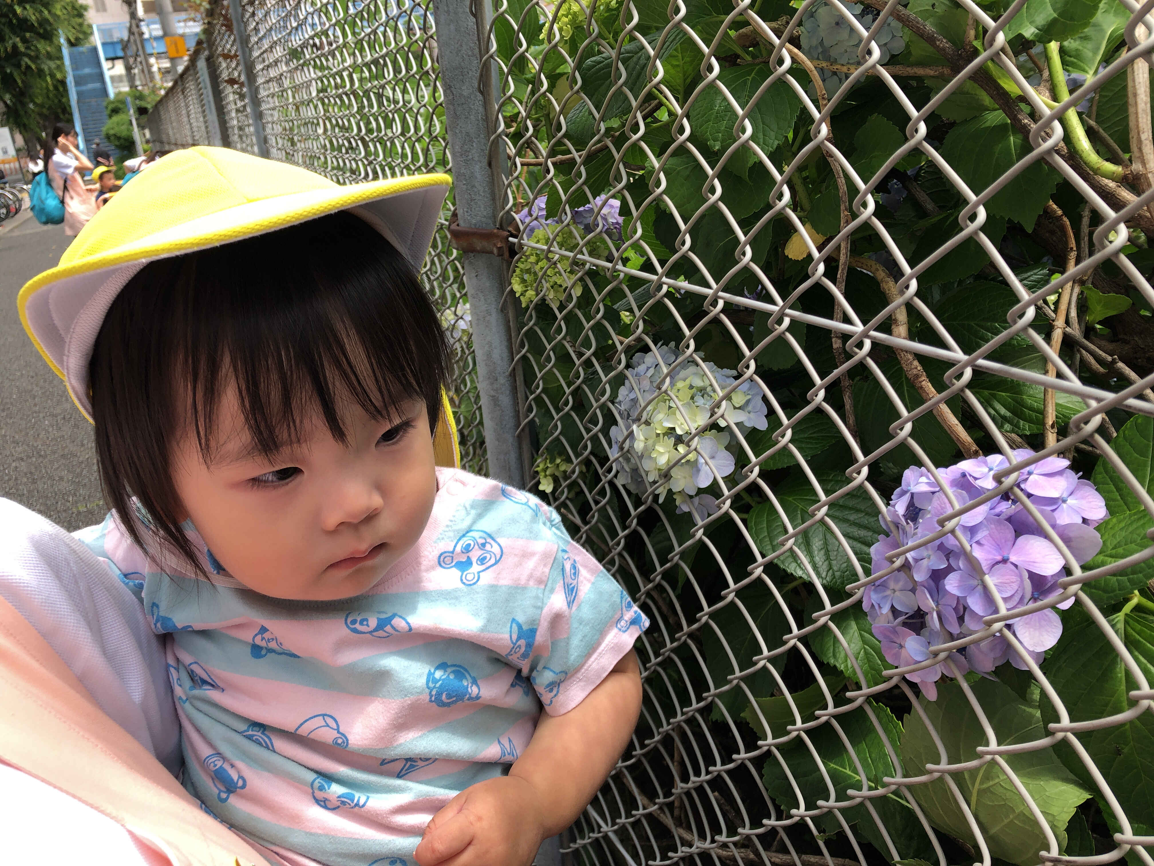 https://hoiku.shopro.co.jp/hoiku/img/2024/06/204118186202421690.jpg