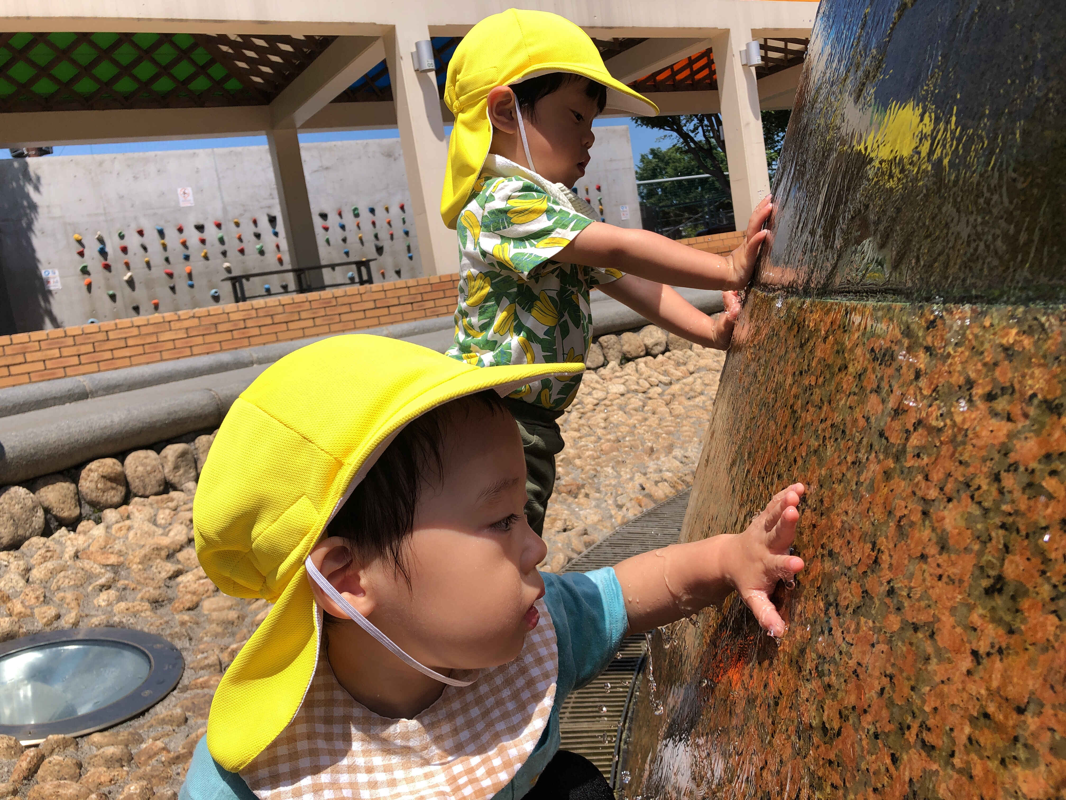 https://hoiku.shopro.co.jp/hoiku/img/2024/06/395718186202421690.jpg
