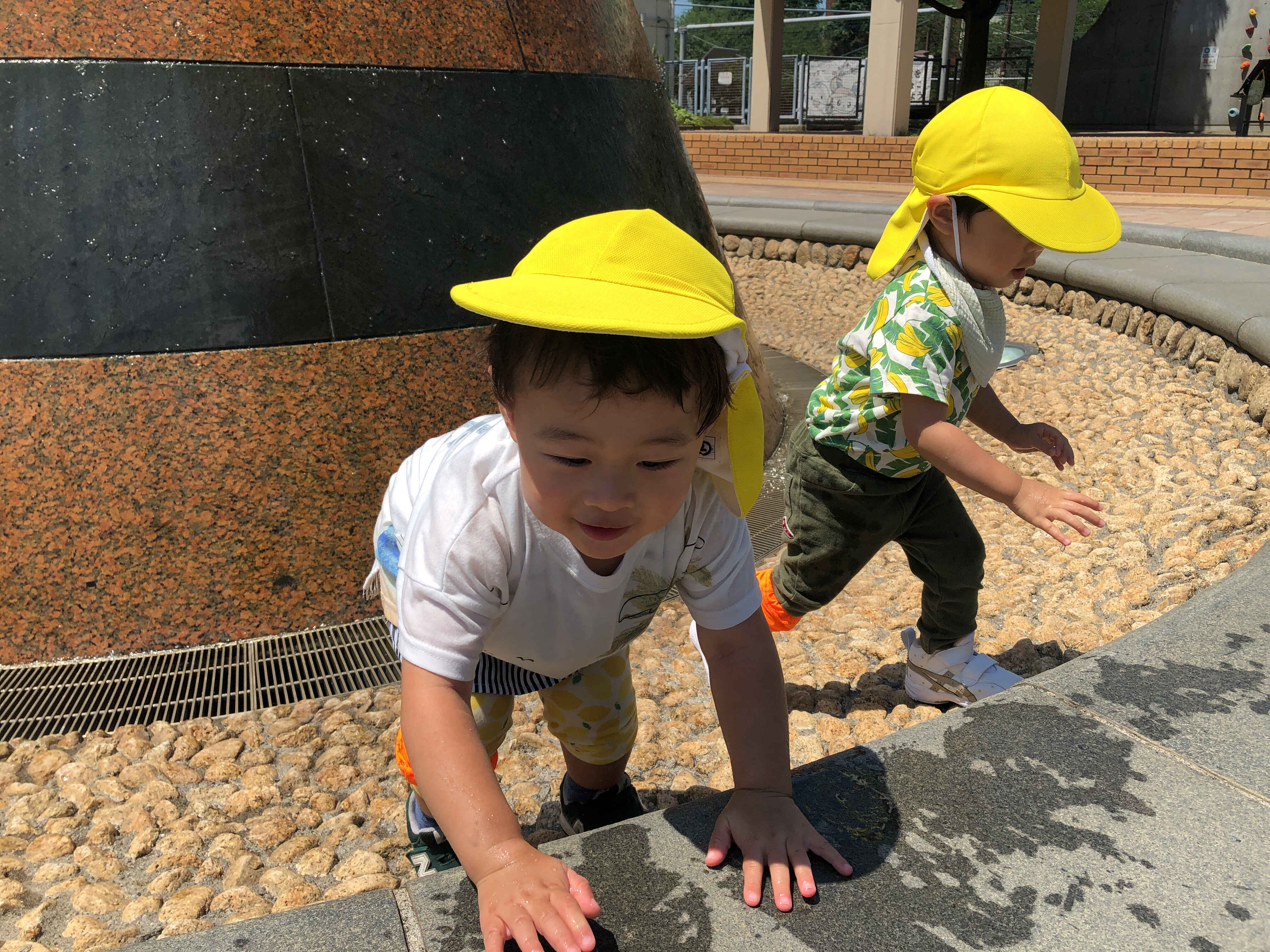 https://hoiku.shopro.co.jp/hoiku/img/2024/06/543218186202421690.jpg