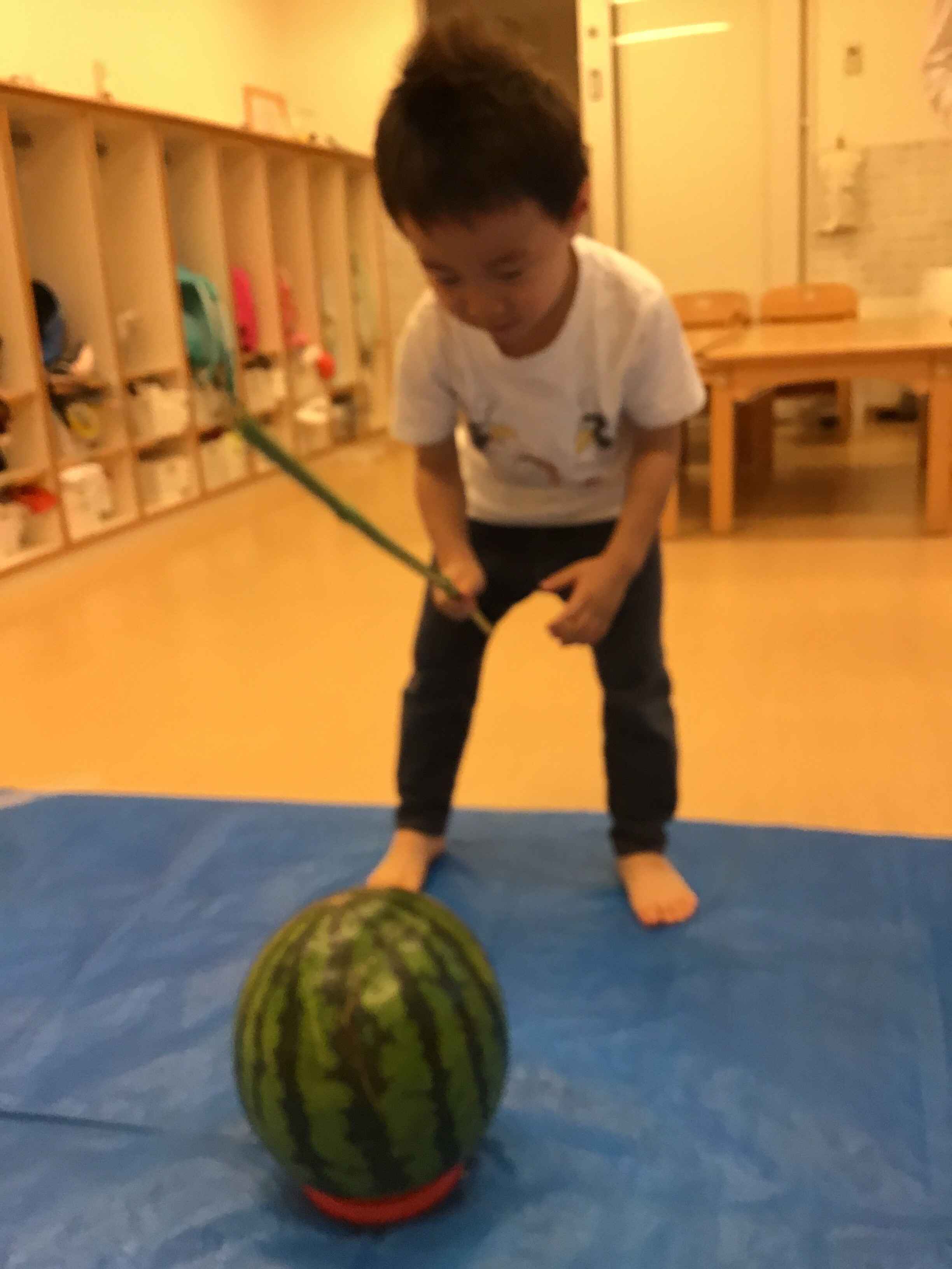 https://hoiku.shopro.co.jp/hoiku/img/2024/07/21116117202441920.jpg