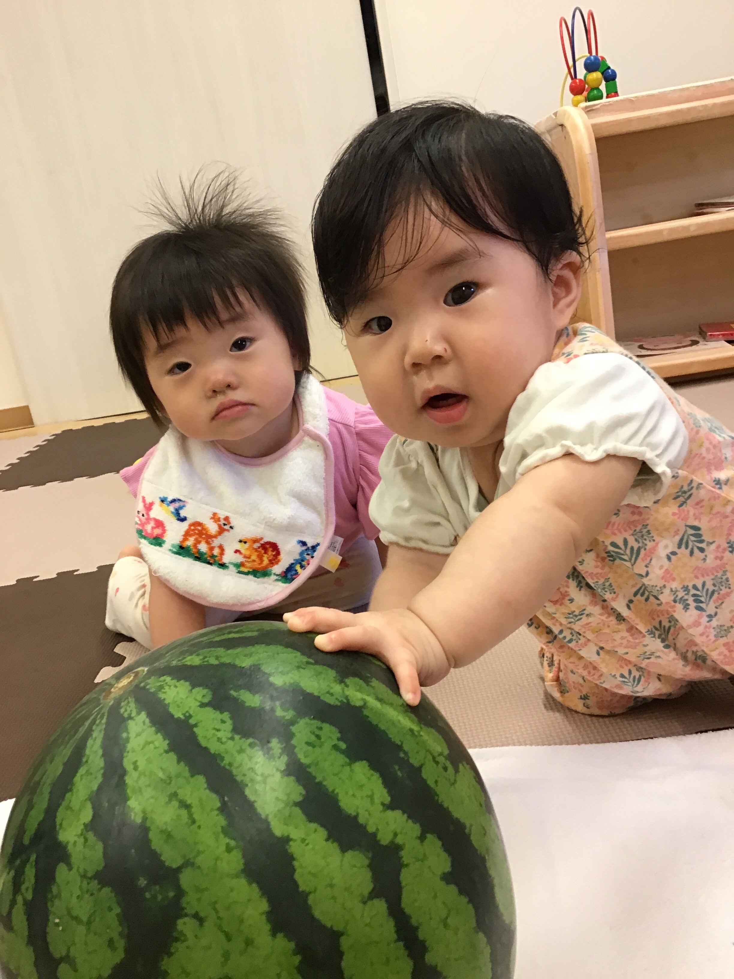 https://hoiku.shopro.co.jp/hoiku/img/2024/07/21314117202441920.jpg