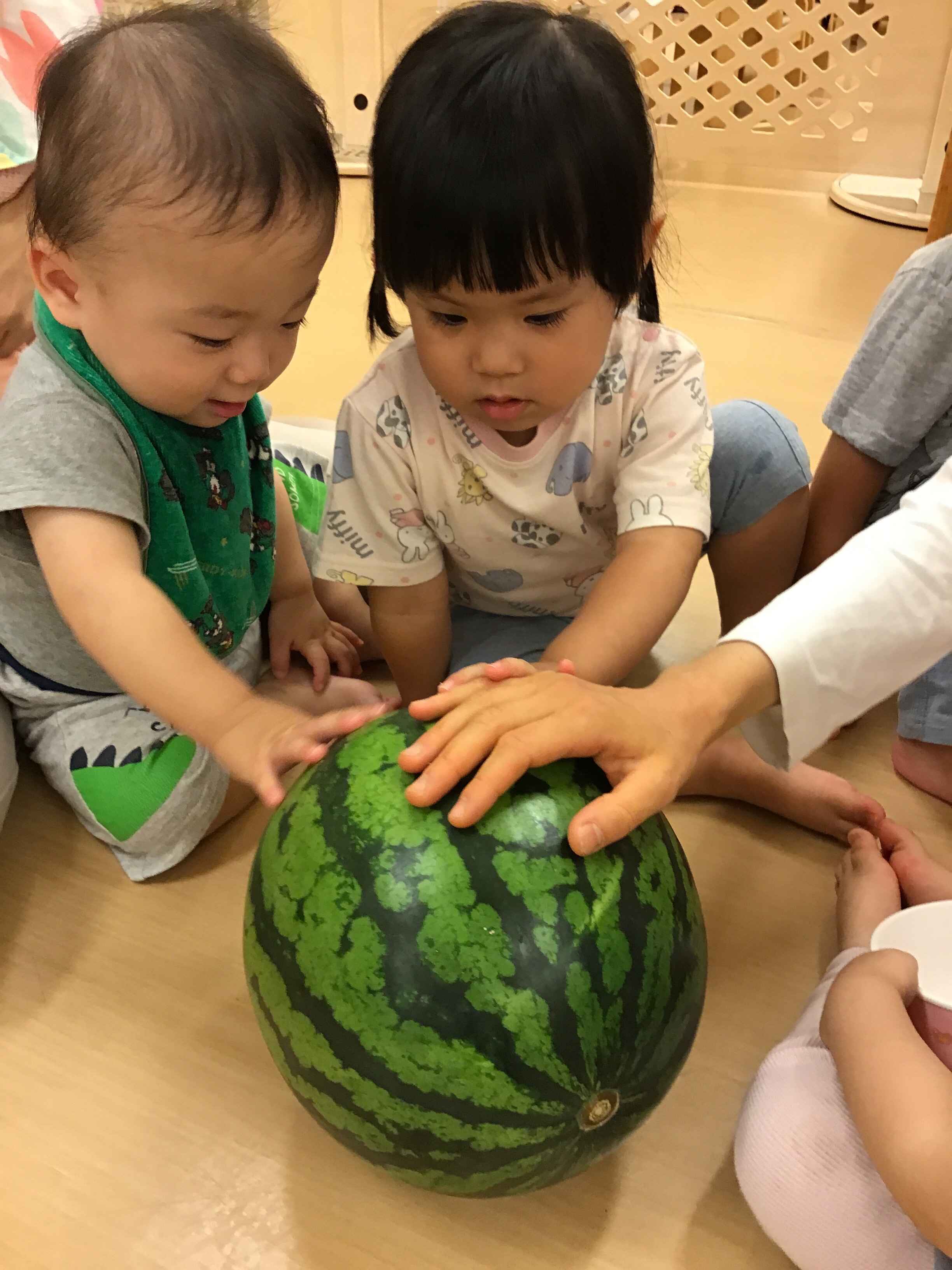 https://hoiku.shopro.co.jp/hoiku/img/2024/07/353615117202441920.jpg