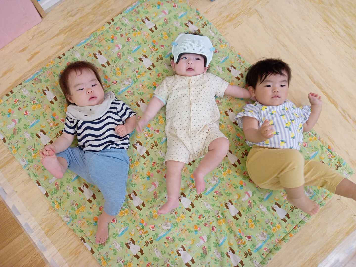 https://hoiku.shopro.co.jp/hoiku/img/2024/07/355312227202412030.jpg