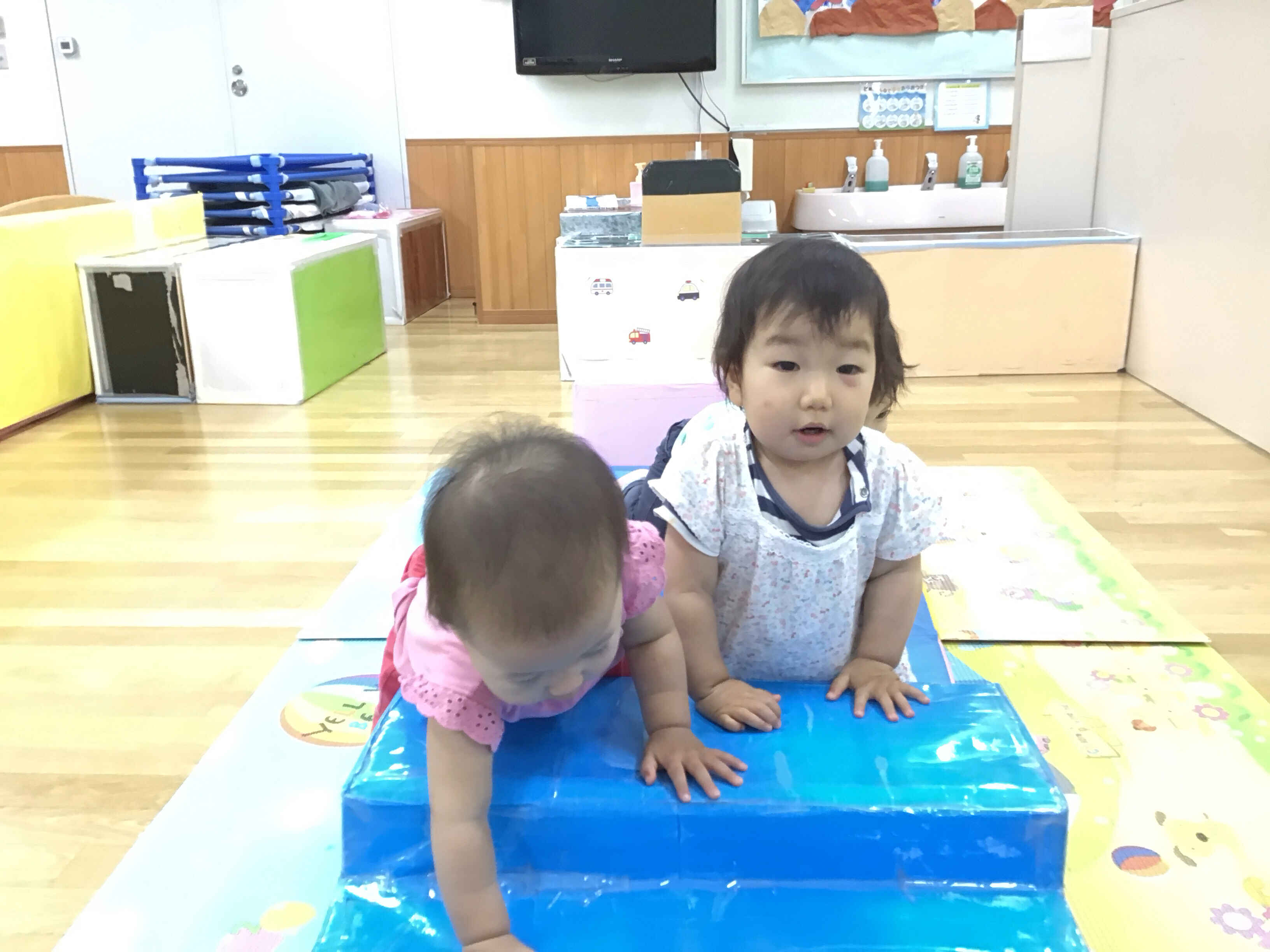 https://hoiku.shopro.co.jp/hoiku/img/2024/07/385014227202412030.jpg