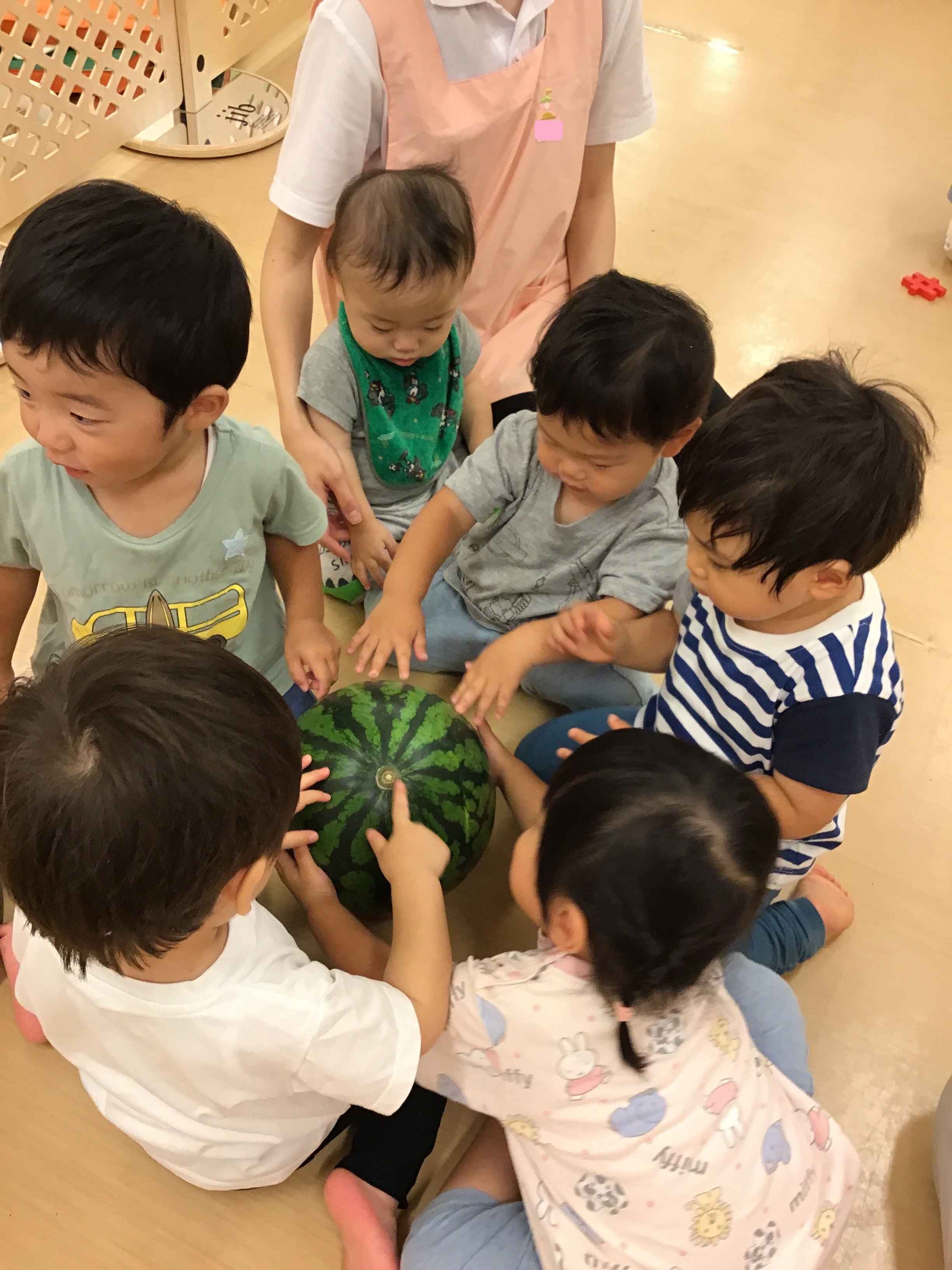 https://hoiku.shopro.co.jp/hoiku/img/2024/07/473516117202441920.jpg