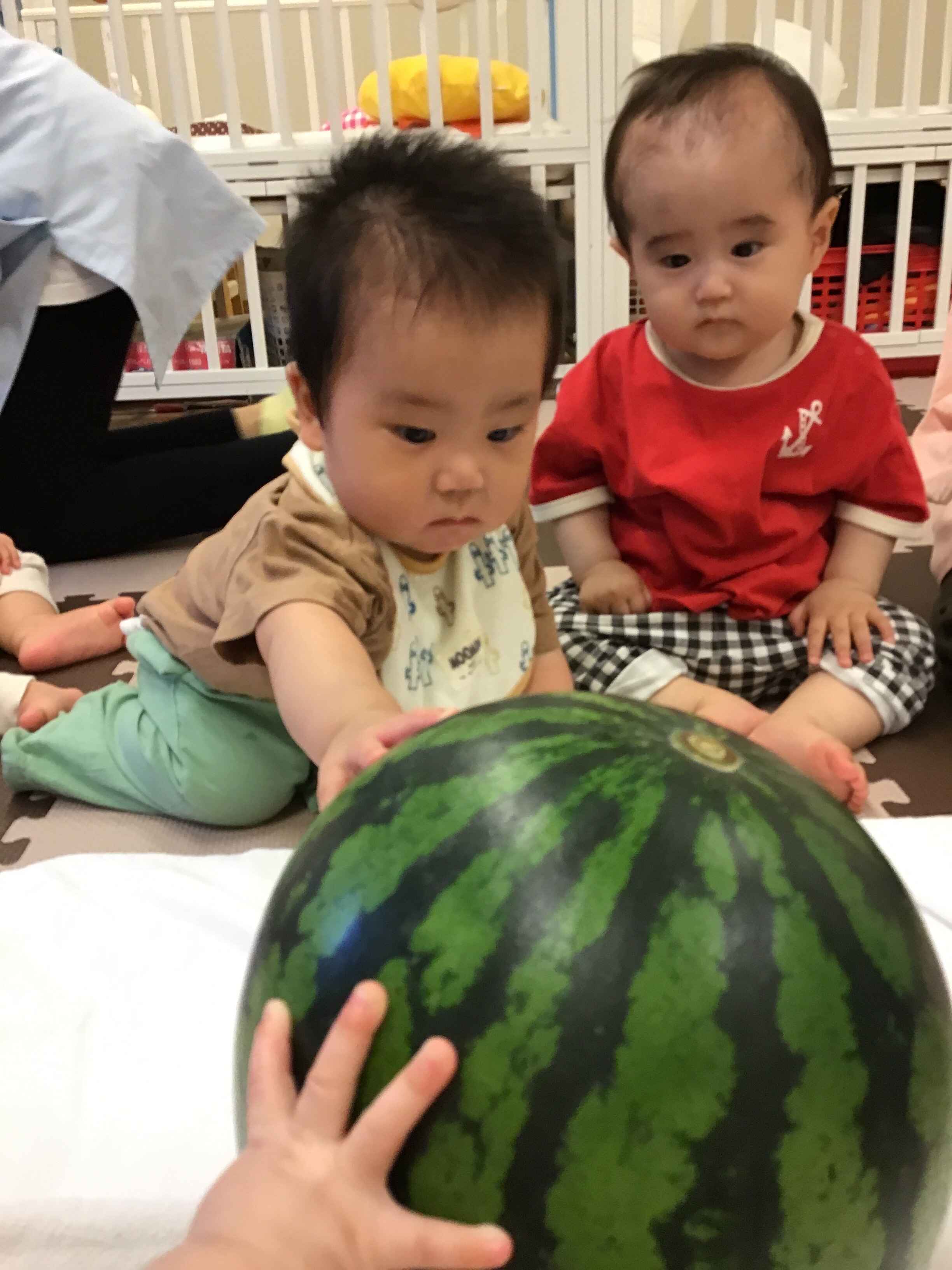 https://hoiku.shopro.co.jp/hoiku/img/2024/07/55314117202441920.jpg