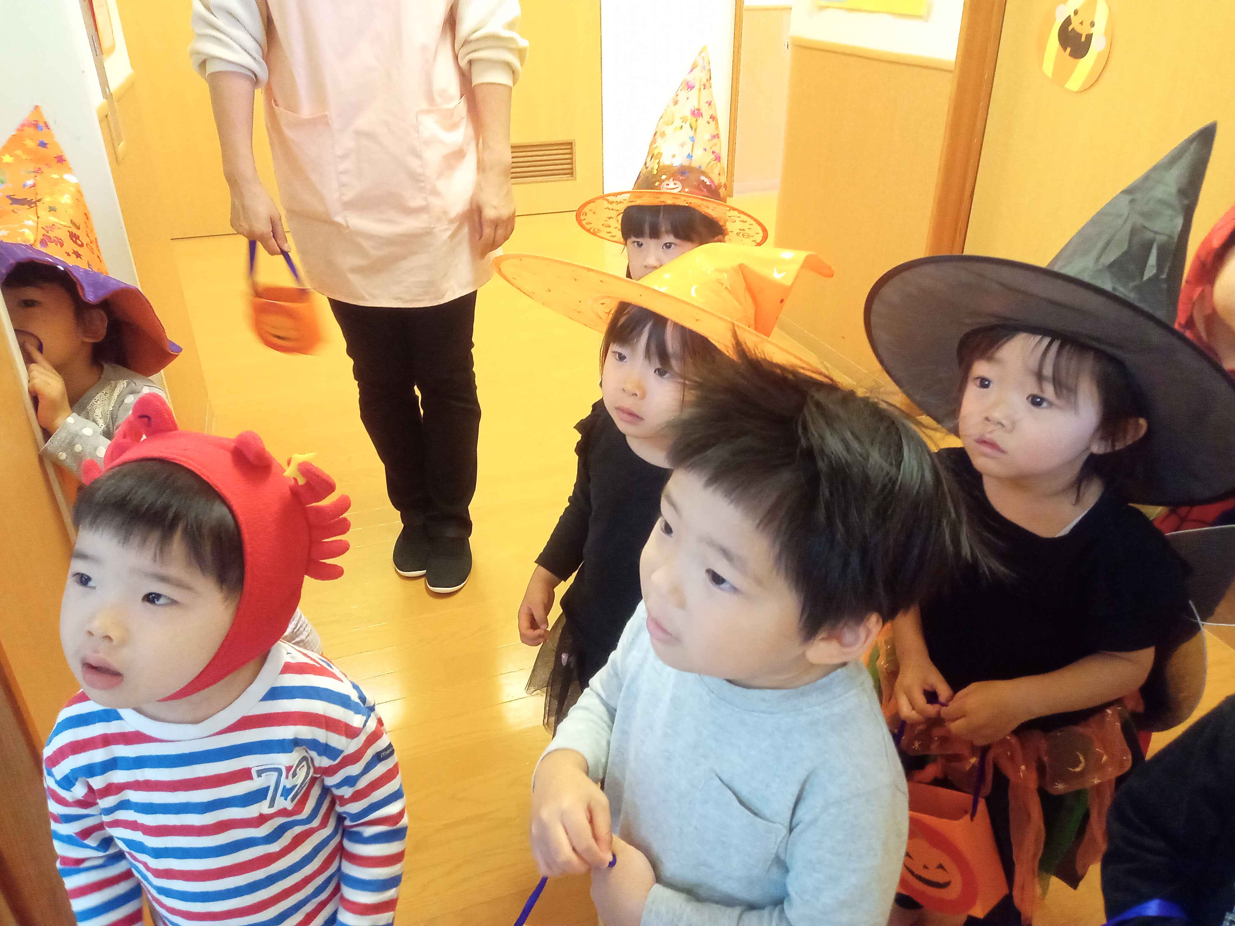 https://hoiku.shopro.co.jp/hoiku/img/2024/11/12557711202443110.jpg
