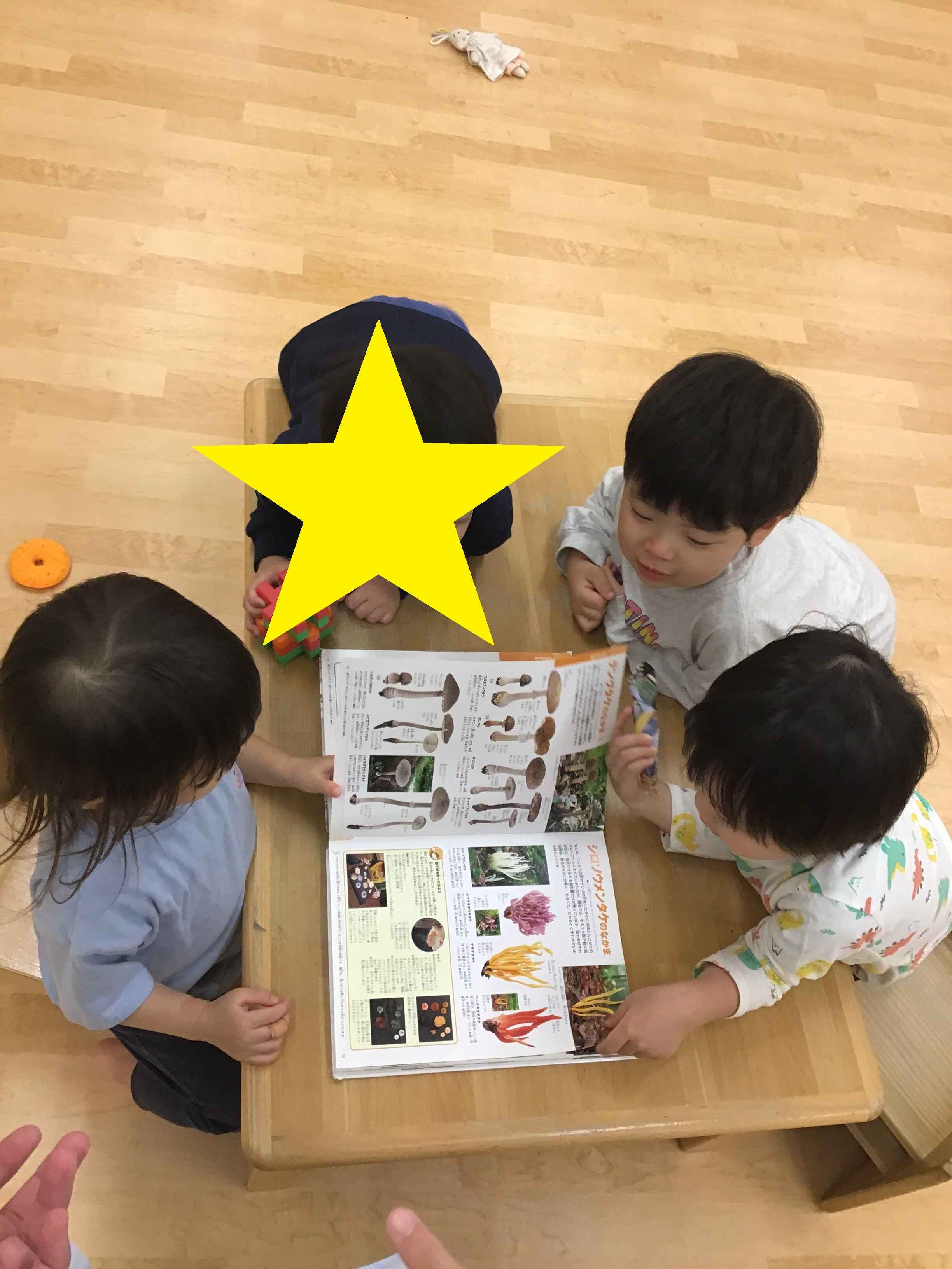 https://hoiku.shopro.co.jp/hoiku/img/2024/11/162017611202433100.jpg