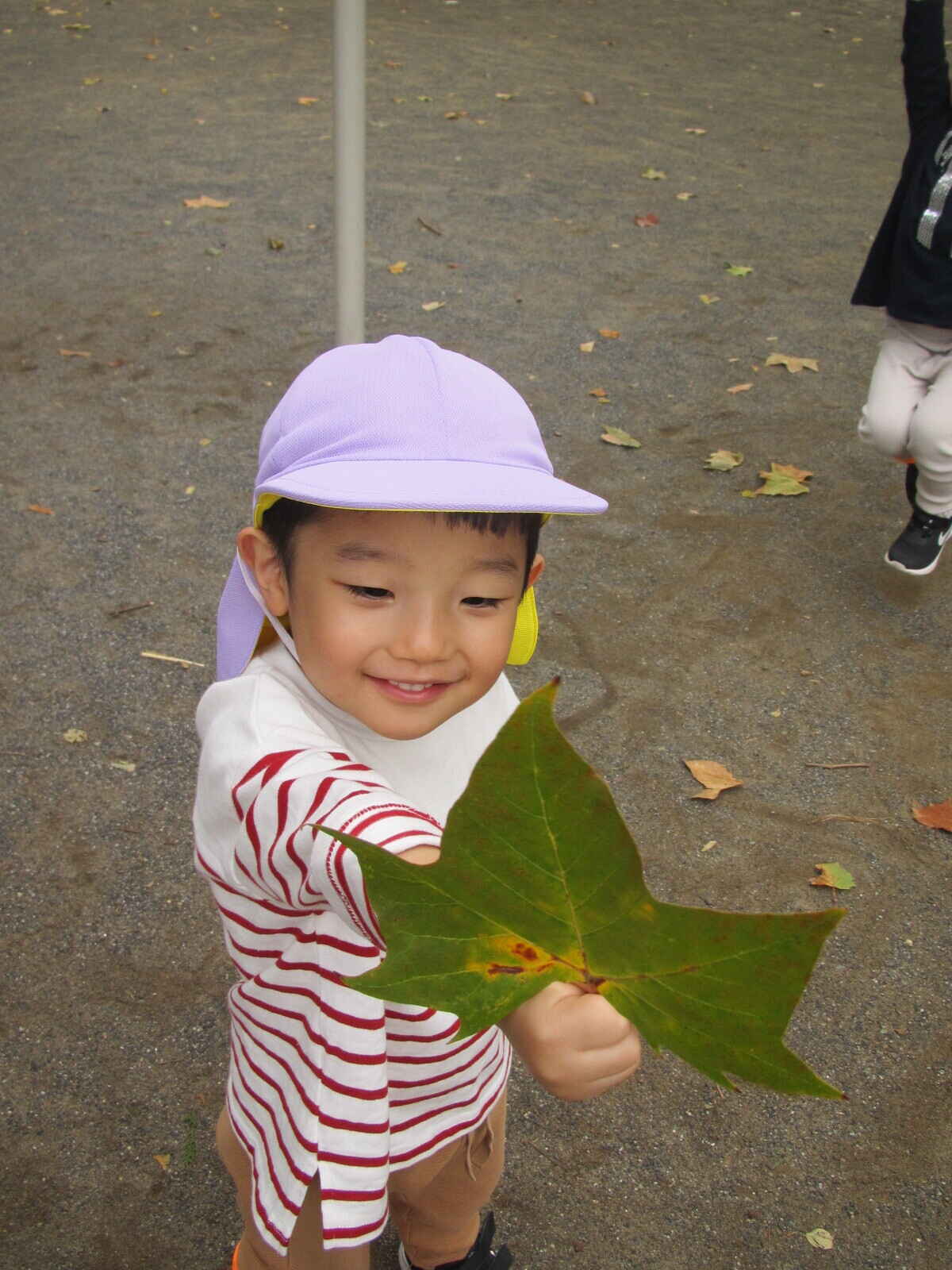 https://hoiku.shopro.co.jp/hoiku/img/2024/11/7148911202463130.JPG