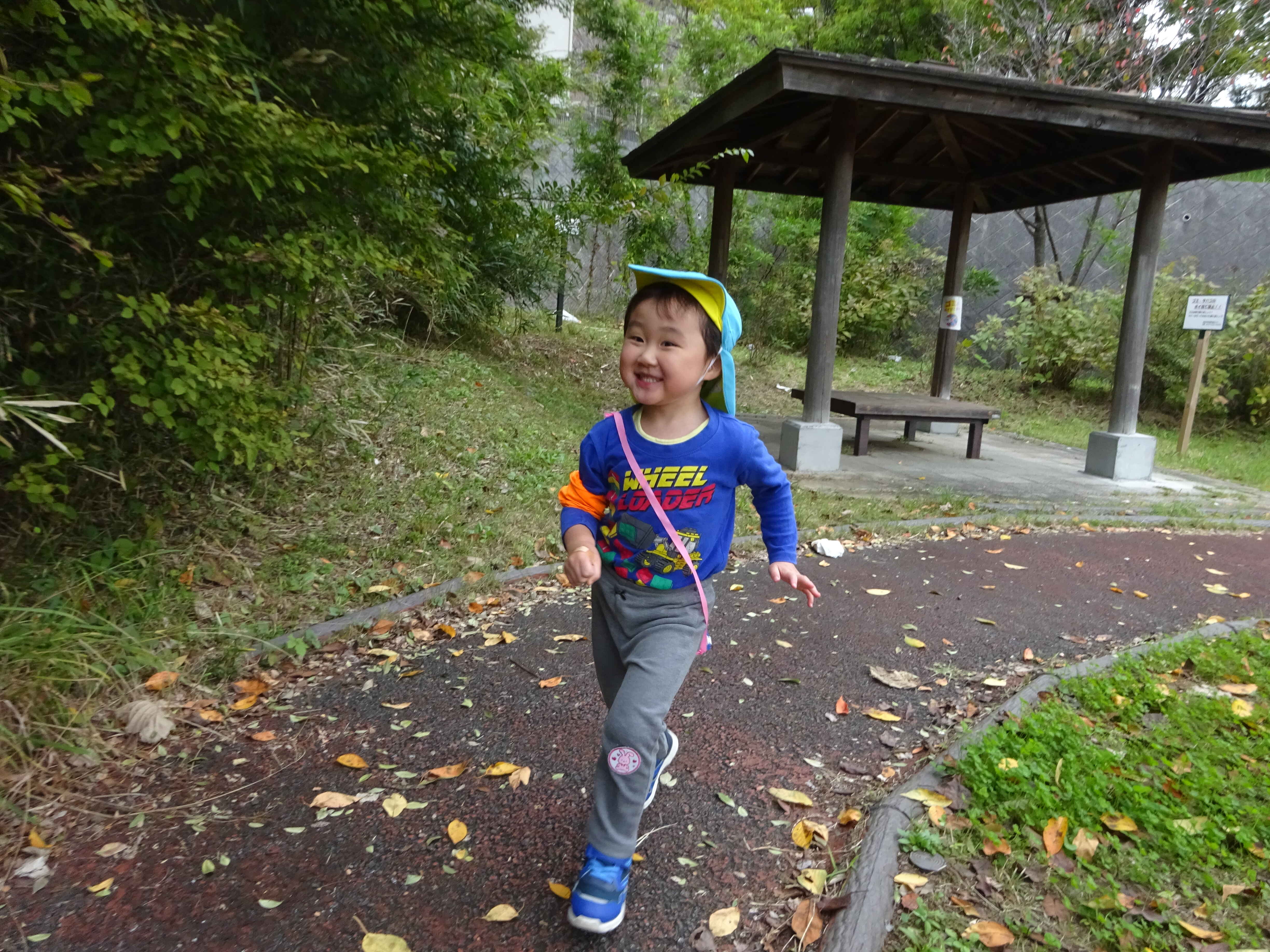 https://hoiku.shopro.co.jp/hoiku/img/2024/12/3659182312202413570.JPG
