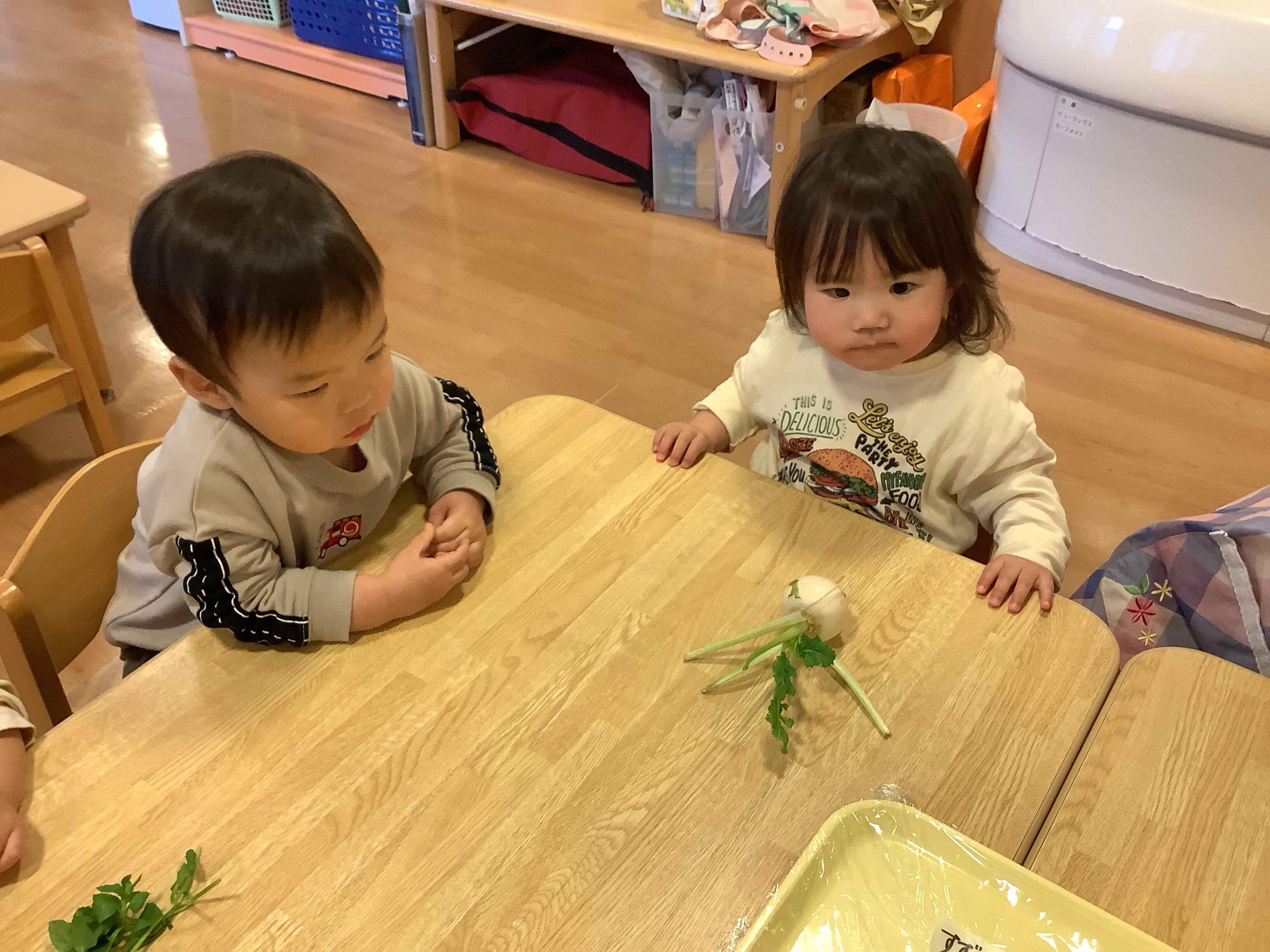 https://hoiku.shopro.co.jp/hoiku/img/2025/01/9341015120253140.jpg