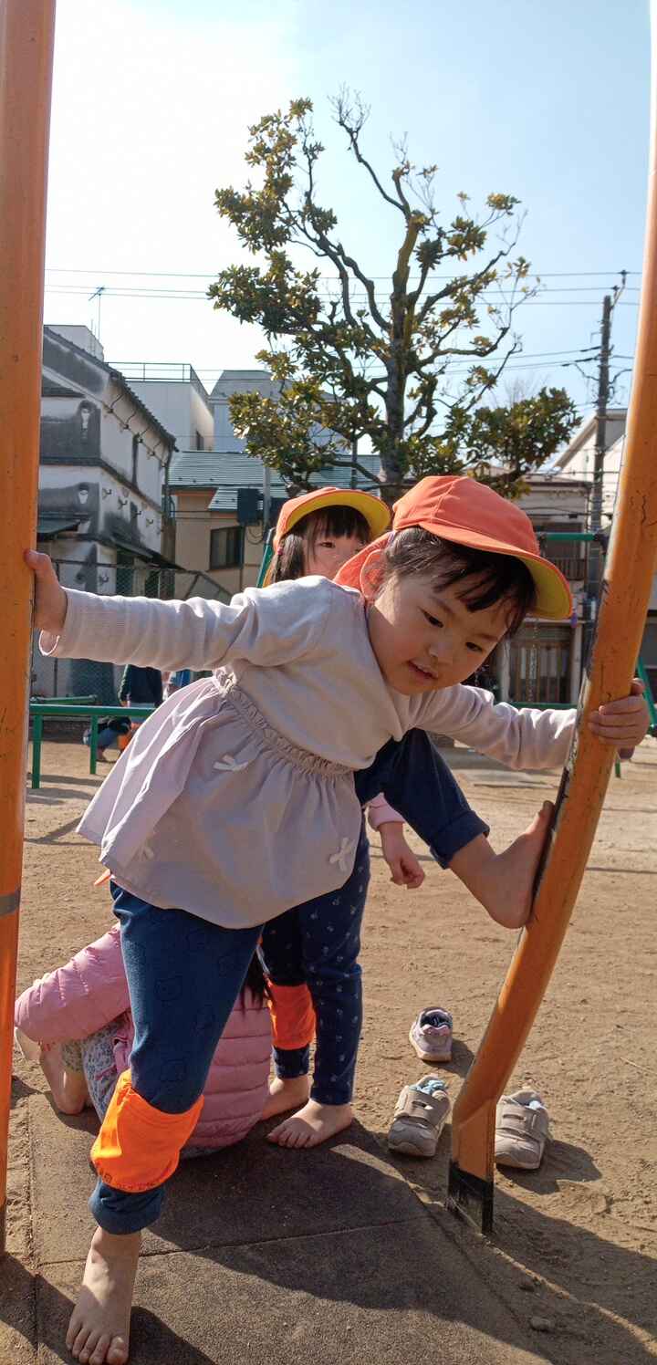https://hoiku.shopro.co.jp/hoiku/img/2025/02/145874220252340.jpg