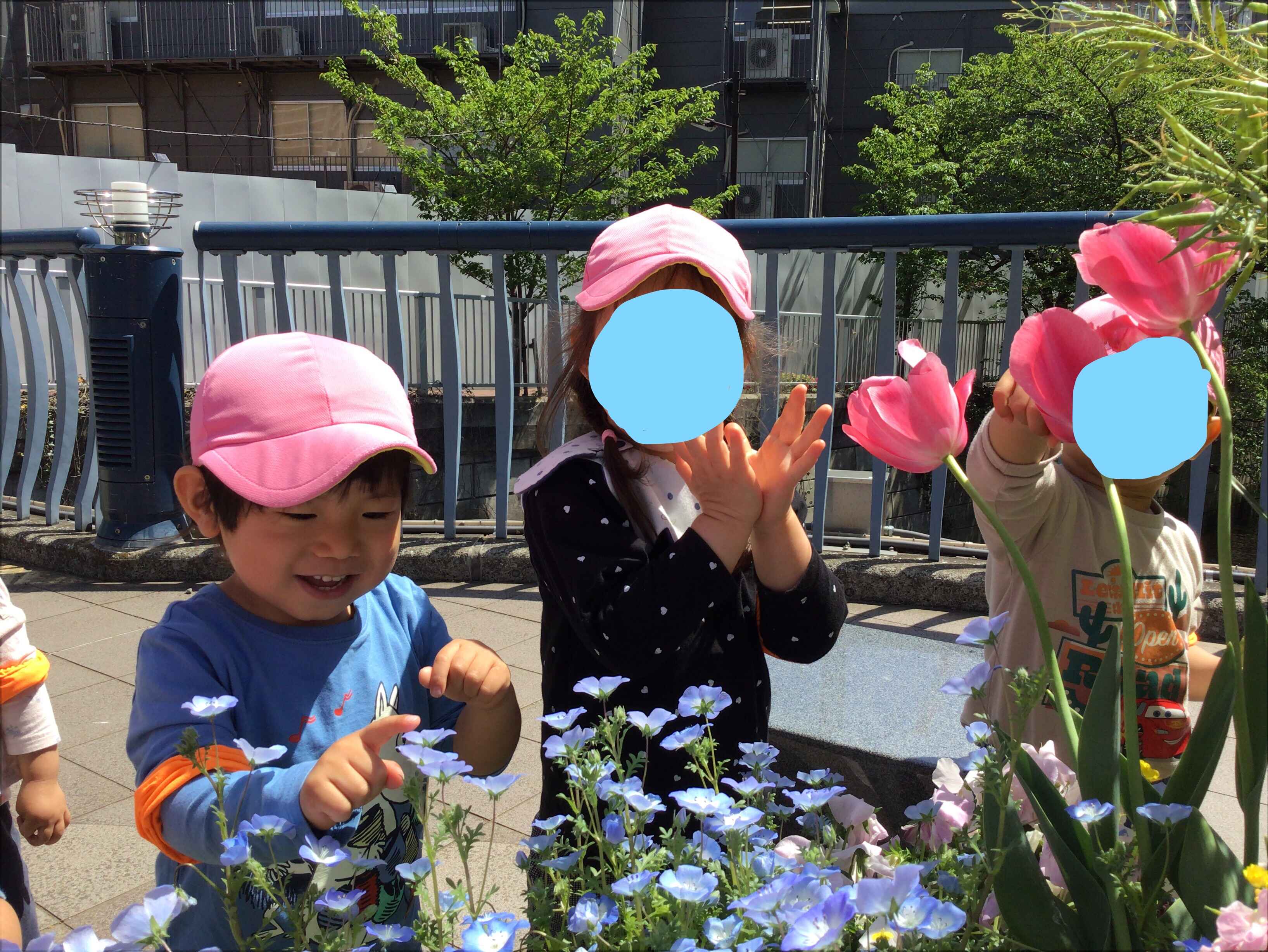 https://hoiku.shopro.co.jp/hoiku/img/2025/04/21016234202531120.jpg