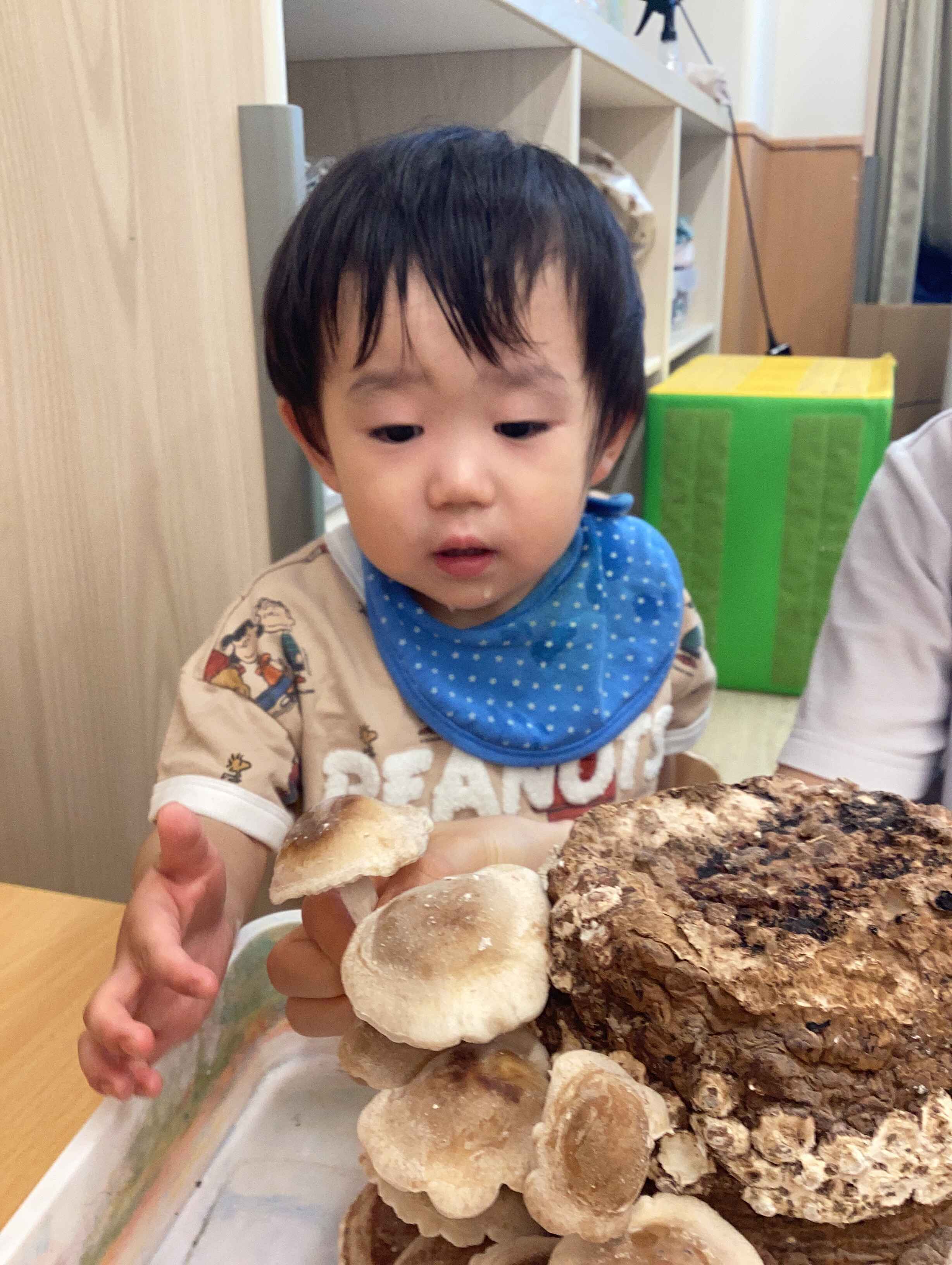 https://hoiku.shopro.co.jp/hoiku/img/2025/06/382814176202521670.jpeg