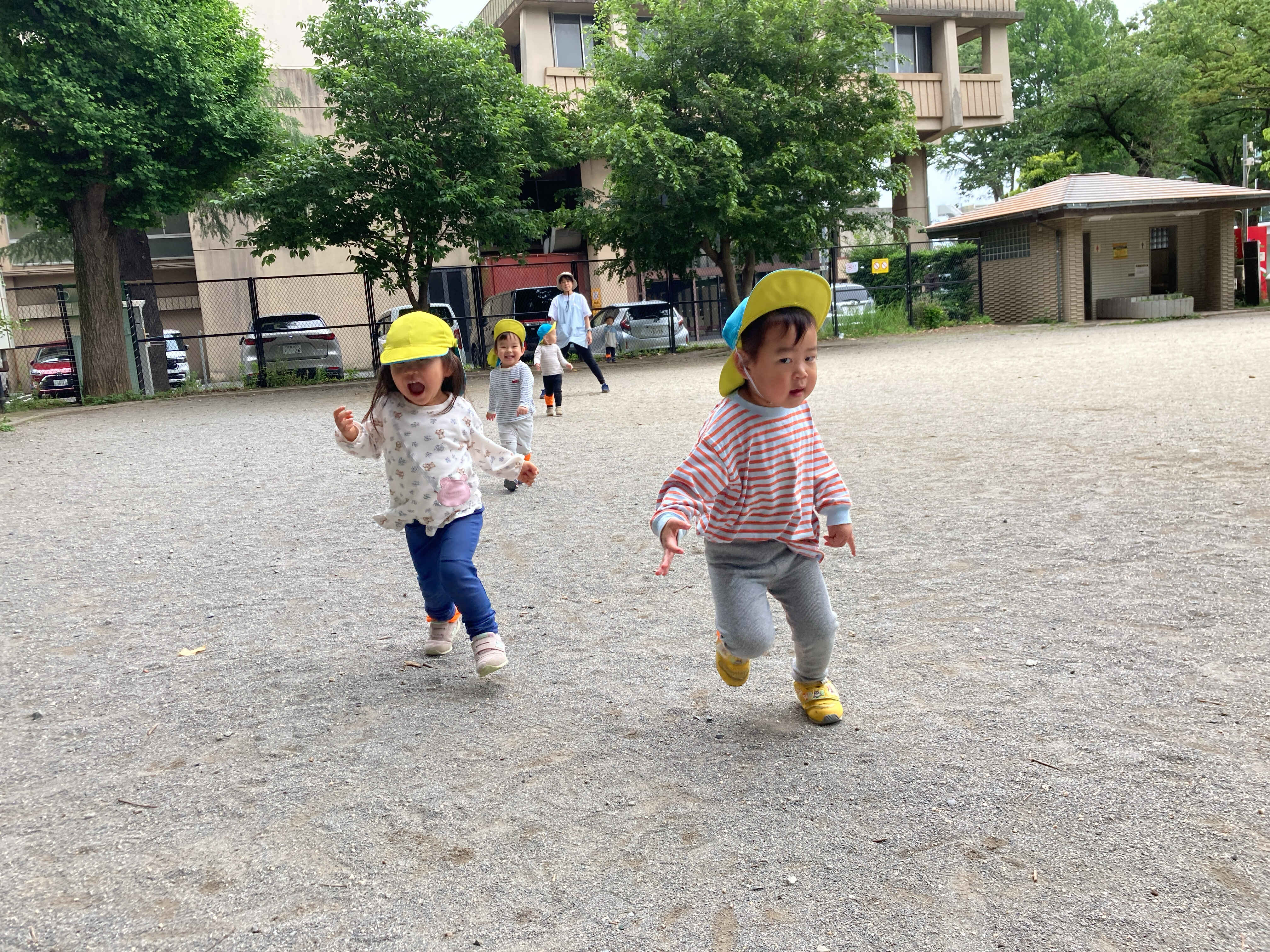 https://hoiku.shopro.co.jp/hoiku/img/2025/06/395114146202561640.jpg