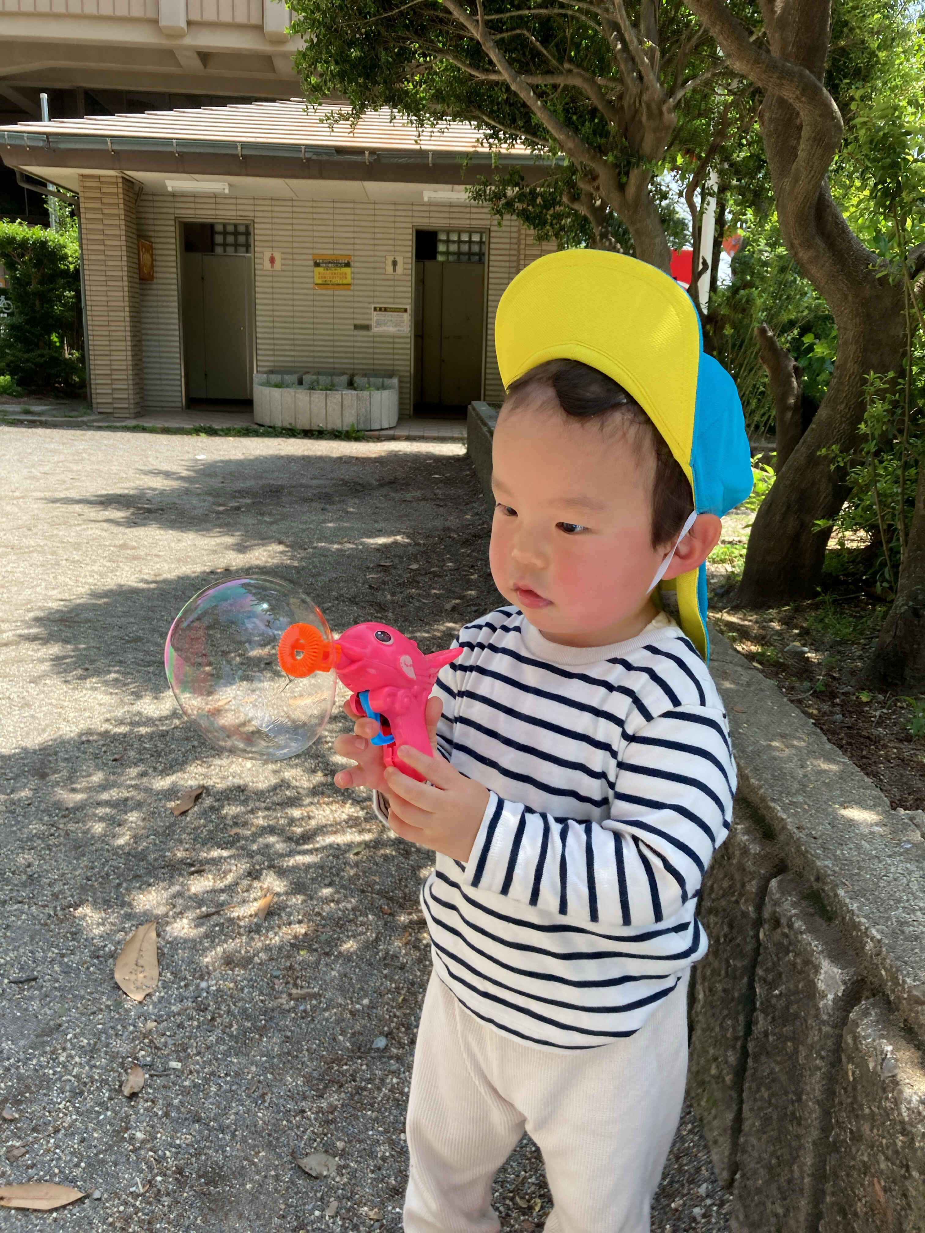 https://hoiku.shopro.co.jp/hoiku/img/2025/06/83514146202561640.jpg
