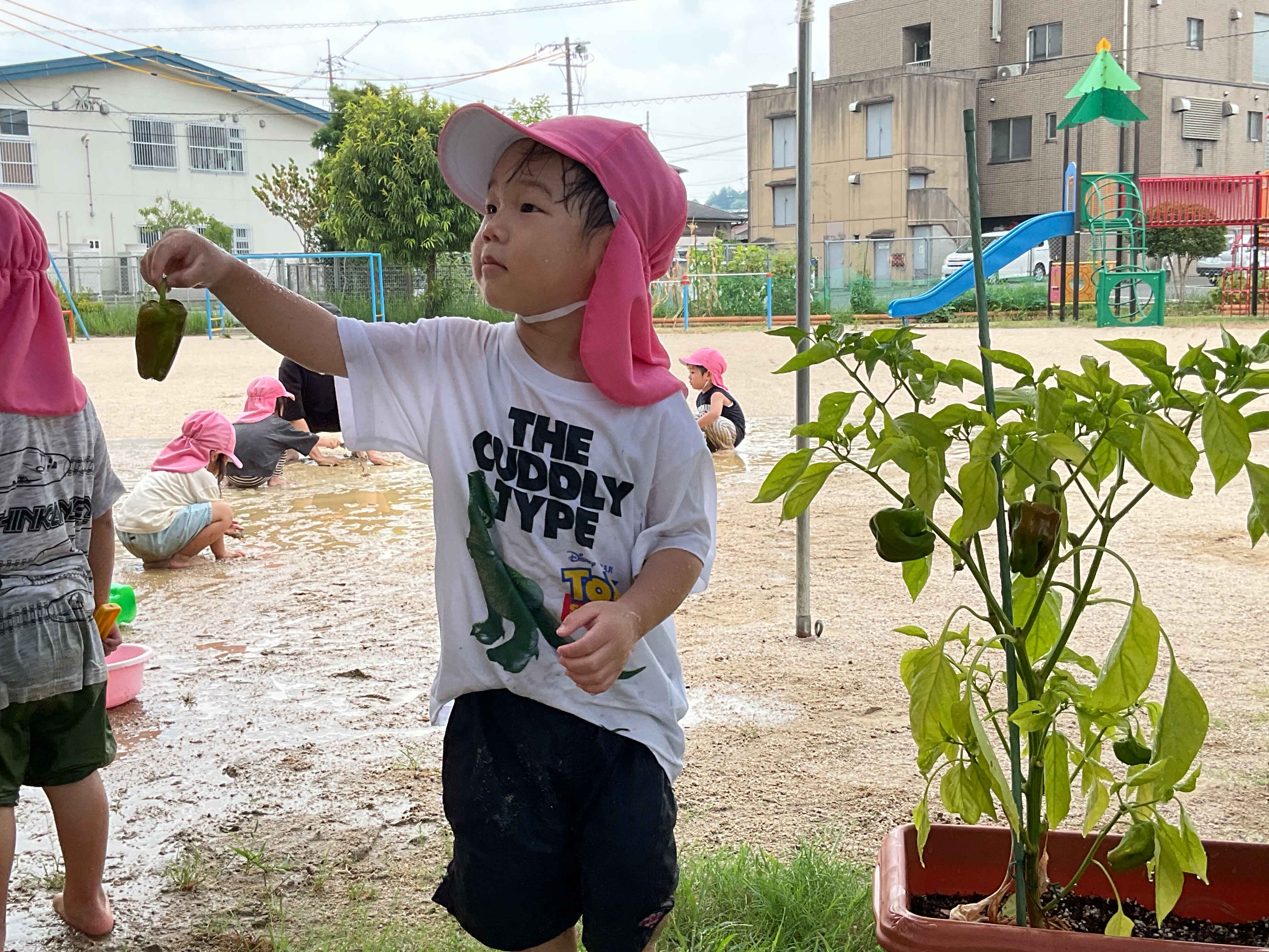 https://hoiku.shopro.co.jp/hoiku/img/2025/08/182314188202512290.jpg