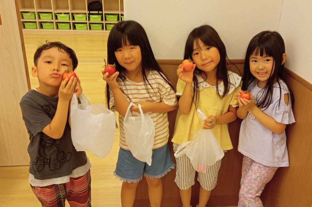 https://hoiku.shopro.co.jp/hoiku/img/2025/08/33331178202542180.jpg
