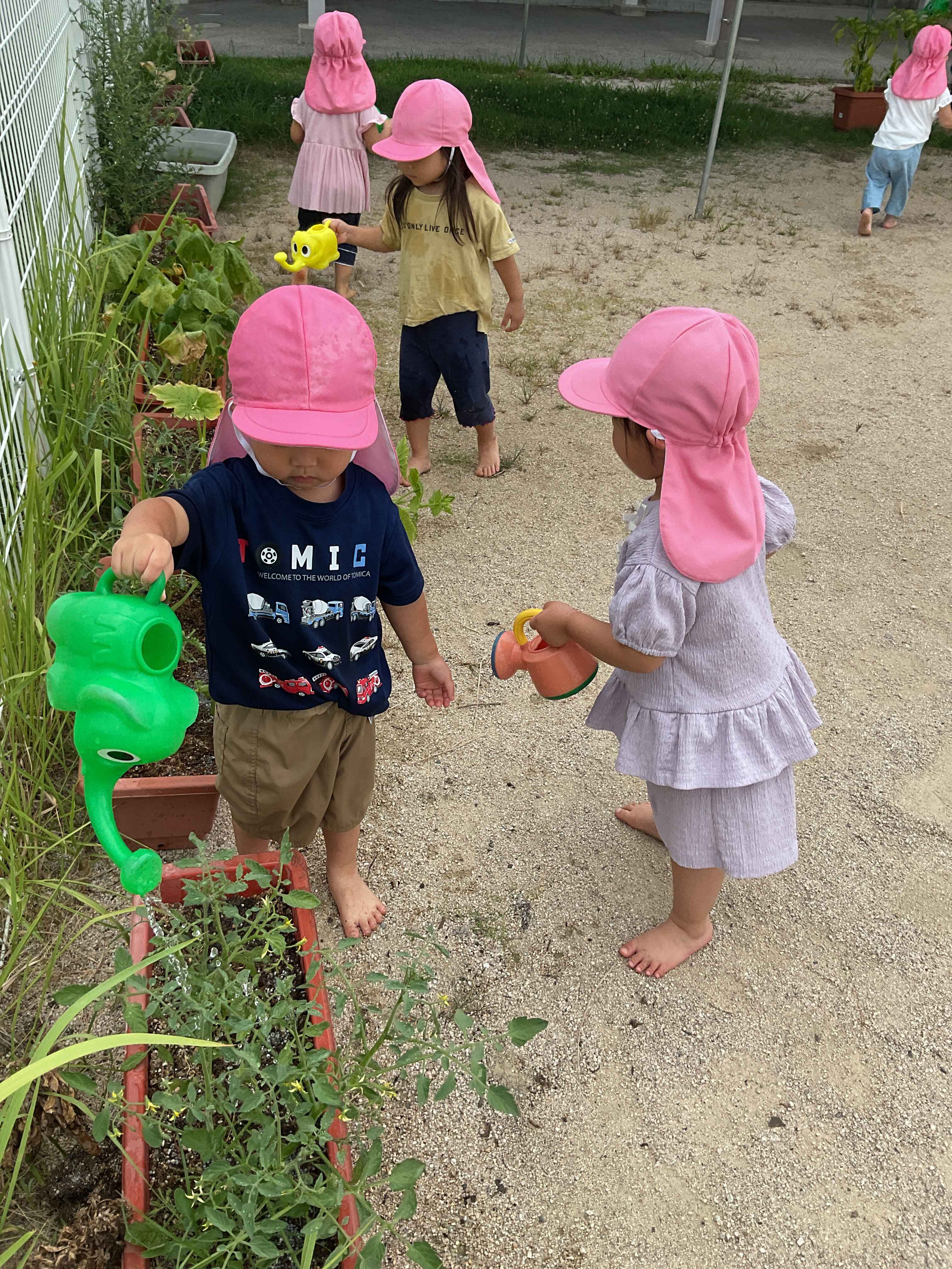 https://hoiku.shopro.co.jp/hoiku/img/2025/08/502014188202512290.jpg