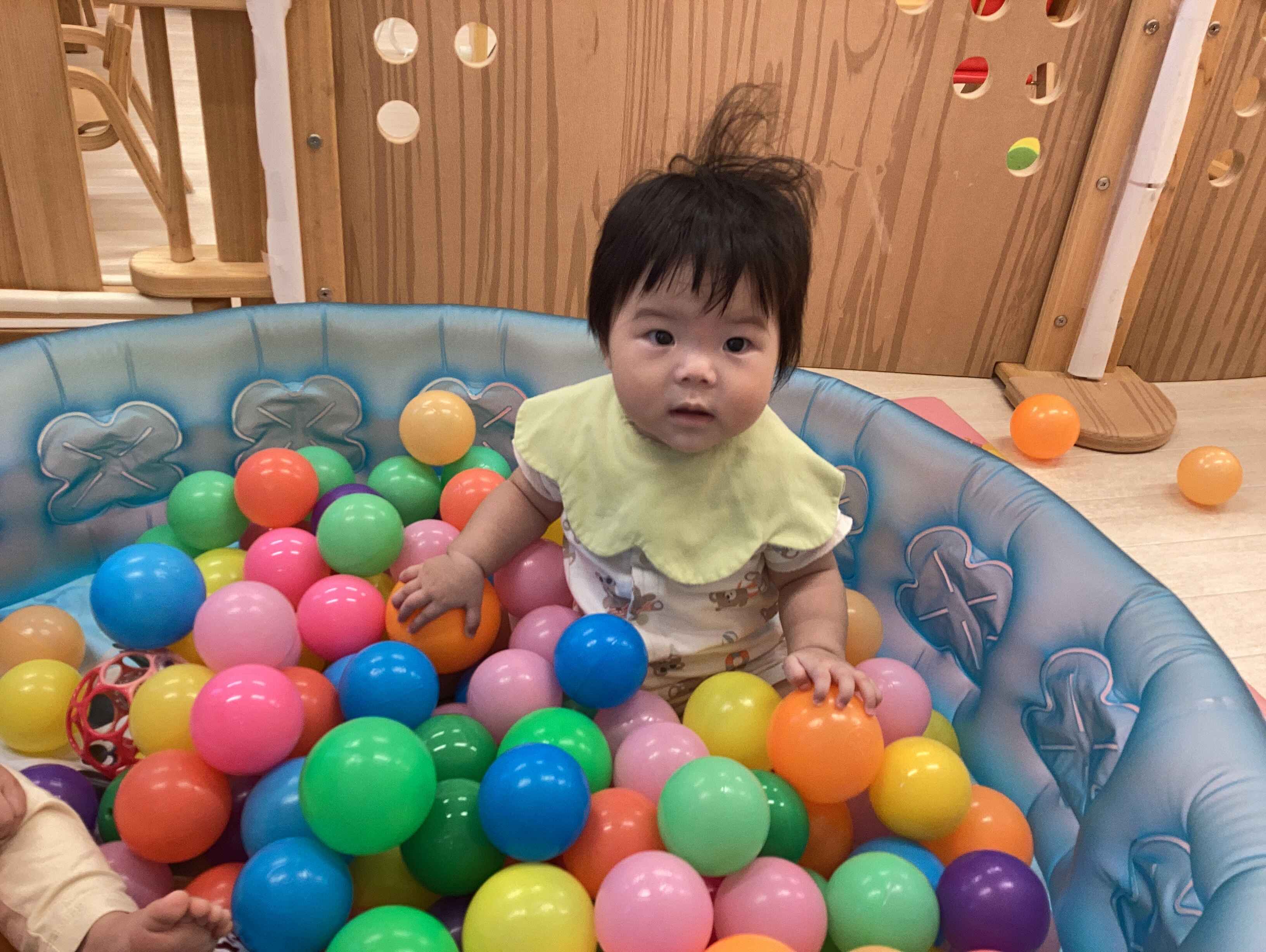 https://hoiku.shopro.co.jp/hoiku/img/2025/08/5610238202562340.jpg