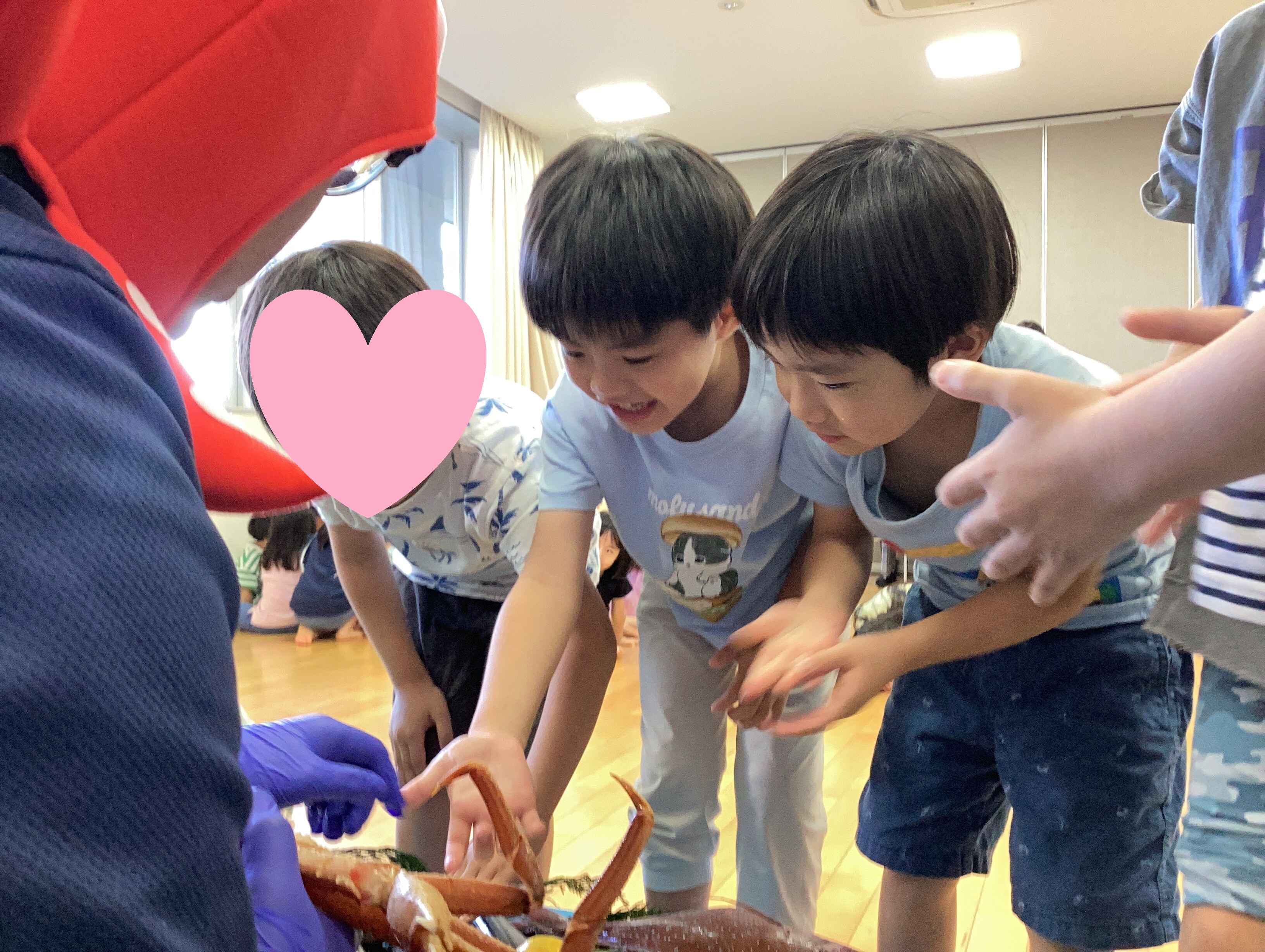 https://hoiku.shopro.co.jp/hoiku/img/2025/09/513518109202532520.jpg