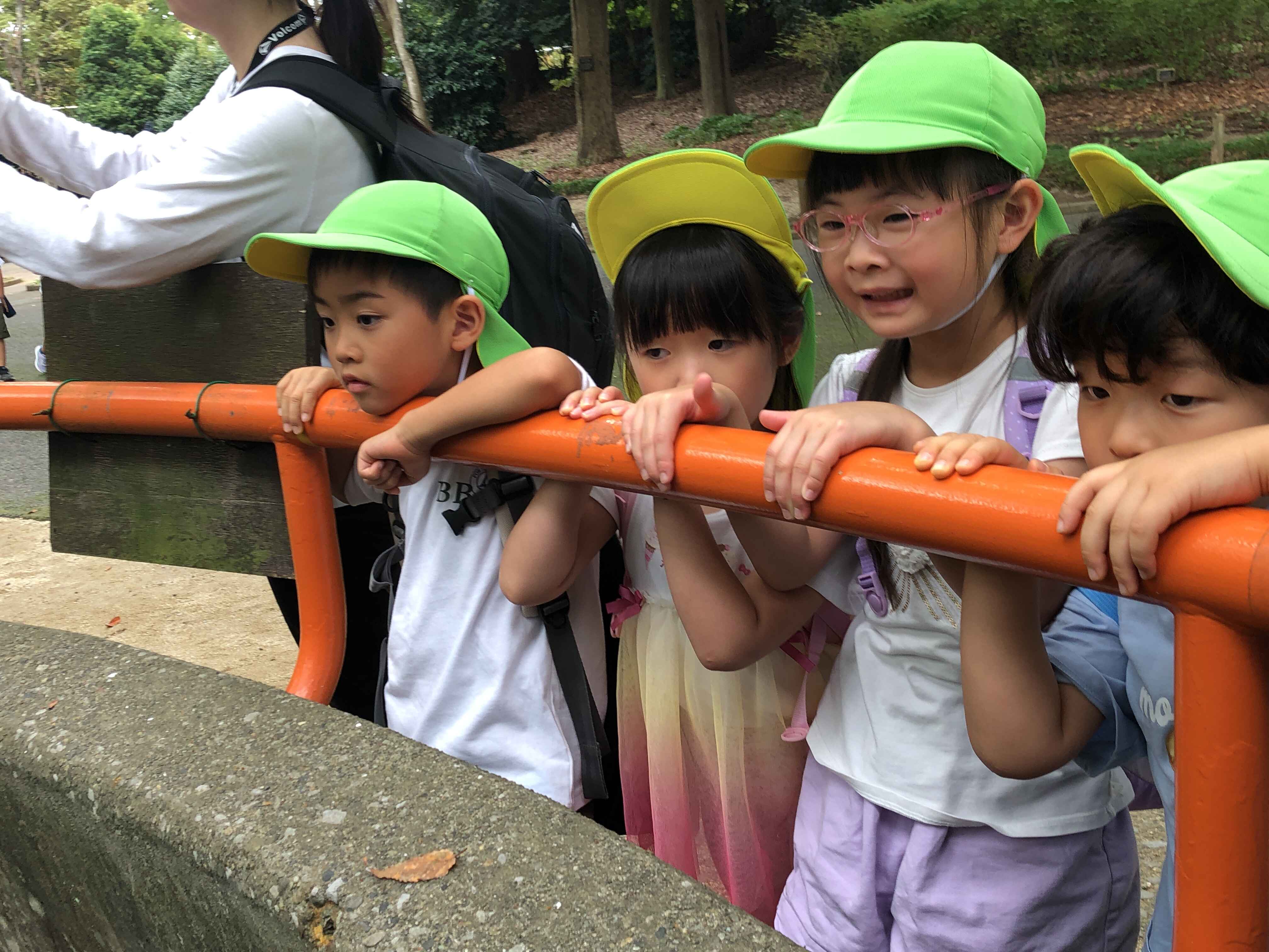 https://hoiku.shopro.co.jp/hoiku/img/2025/10/561181110202562830.jpg
