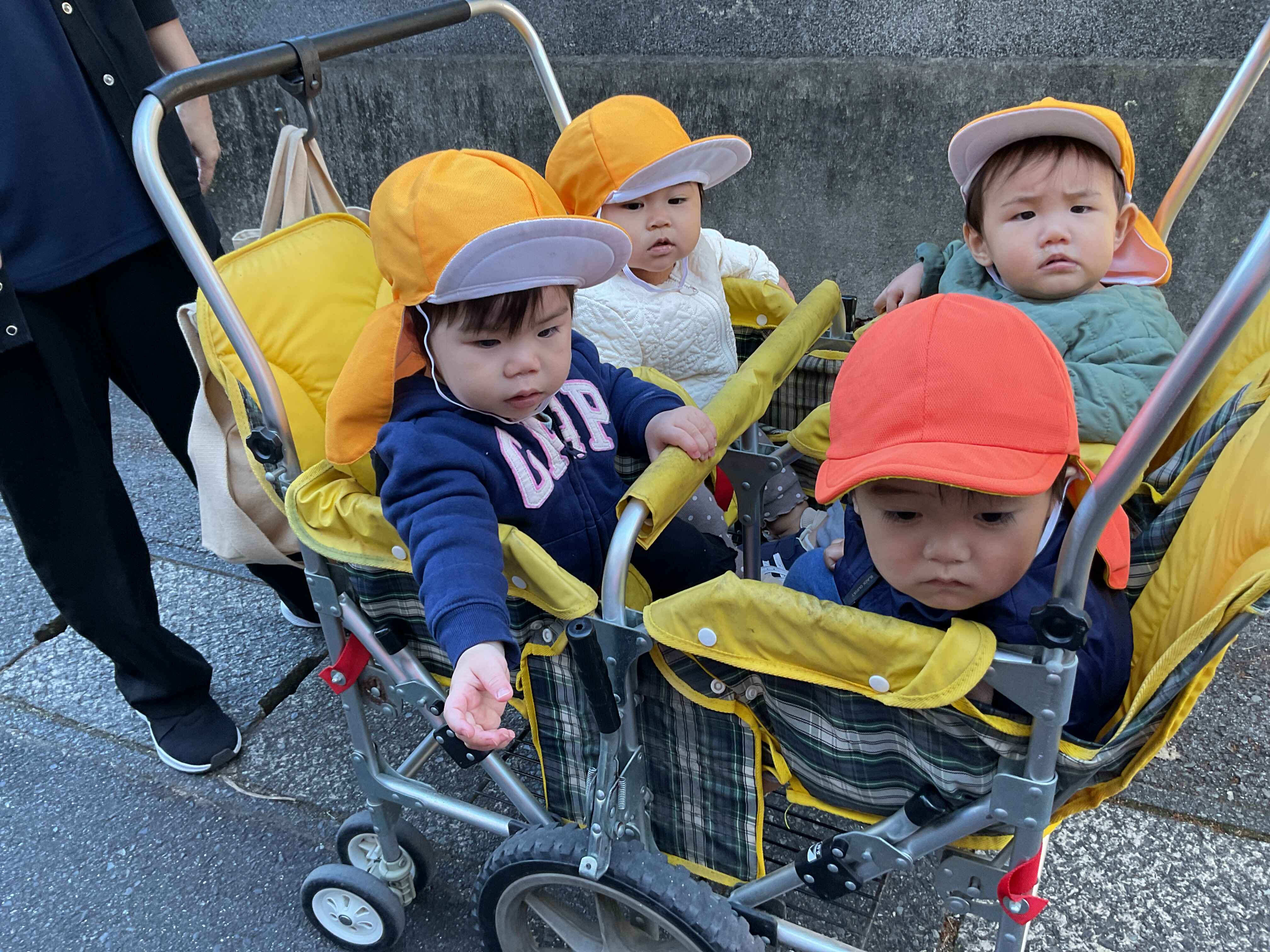 https://hoiku.shopro.co.jp/hoiku/img/2025/11/321214411202523070.jpg
