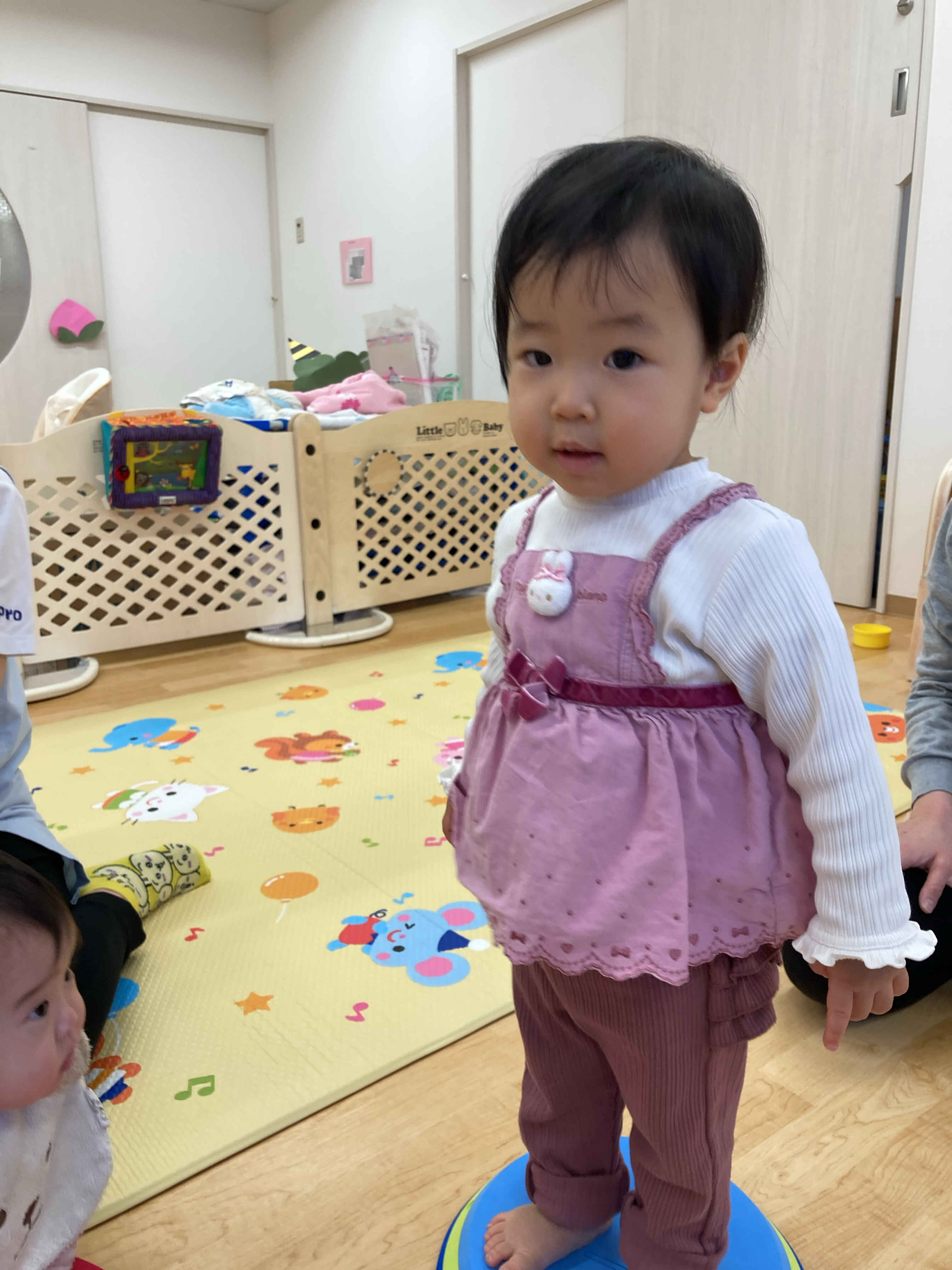 https://hoiku.shopro.co.jp/hoiku/img/2026/02/39461618220263480.jpg
