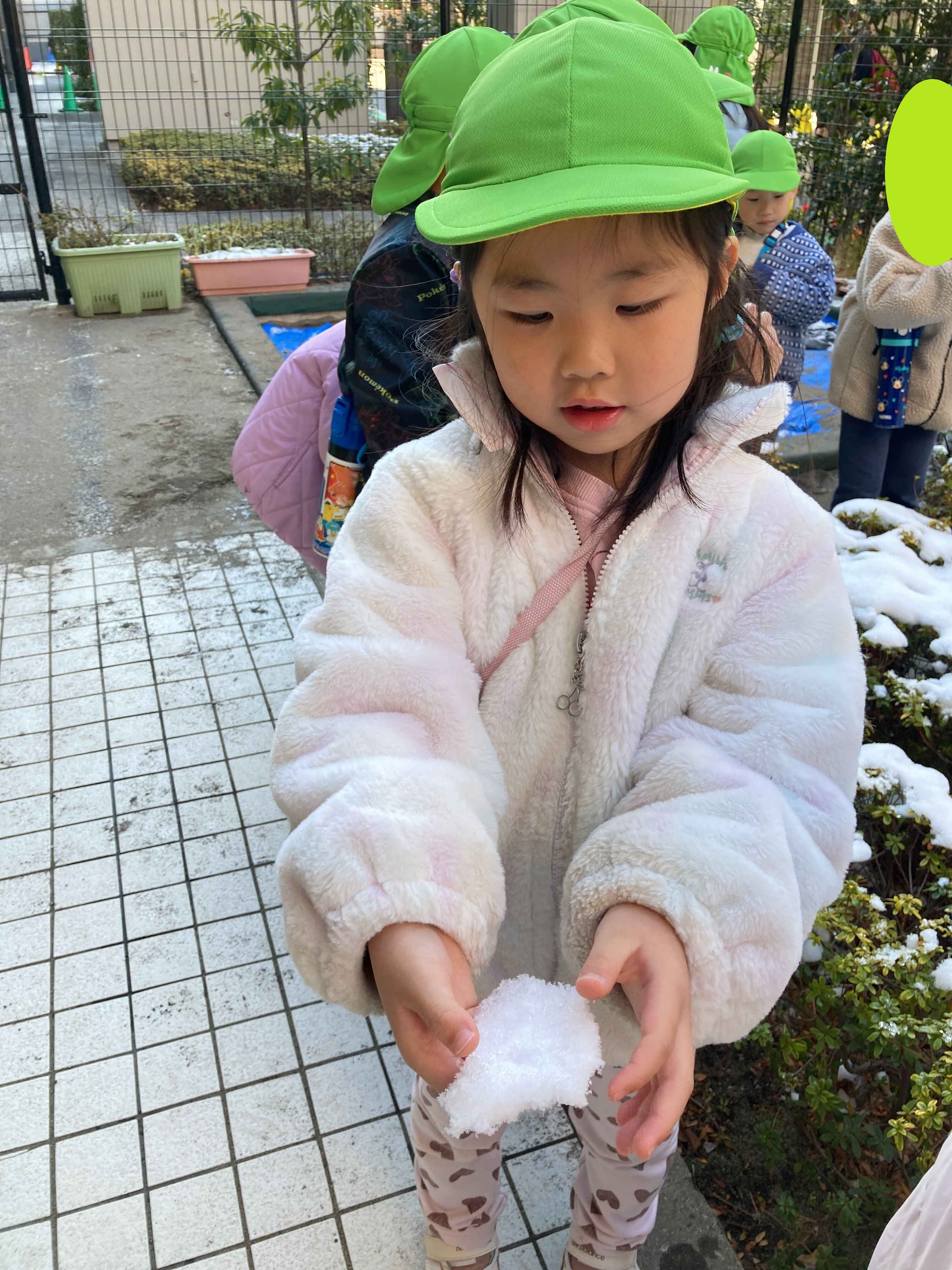 https://hoiku.shopro.co.jp/hoiku/img/2026/03/21461521320266790.jpg