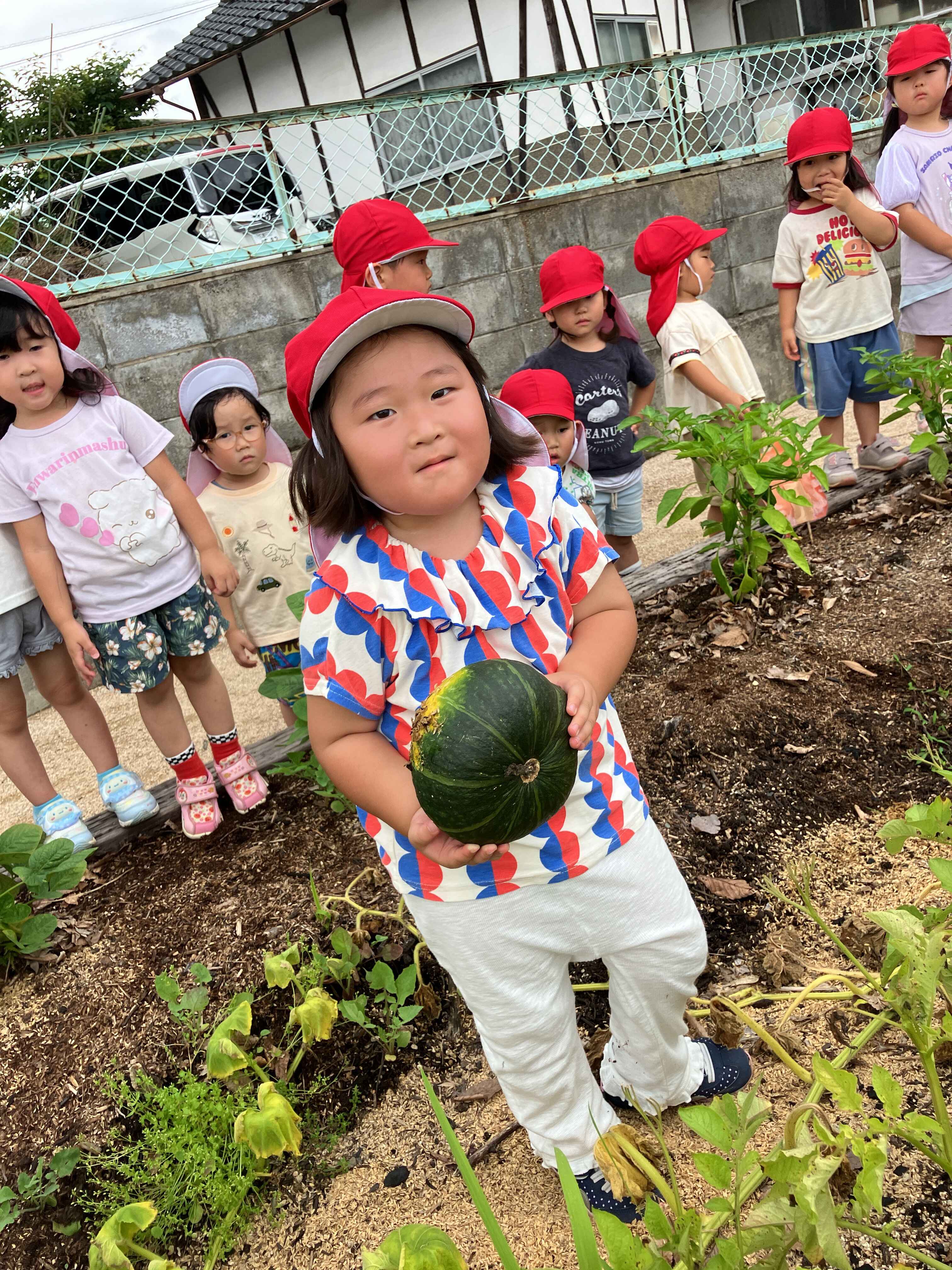 https://hoiku.shopro.co.jp/hoiku/img/2026/07/14918217202622010.jpg