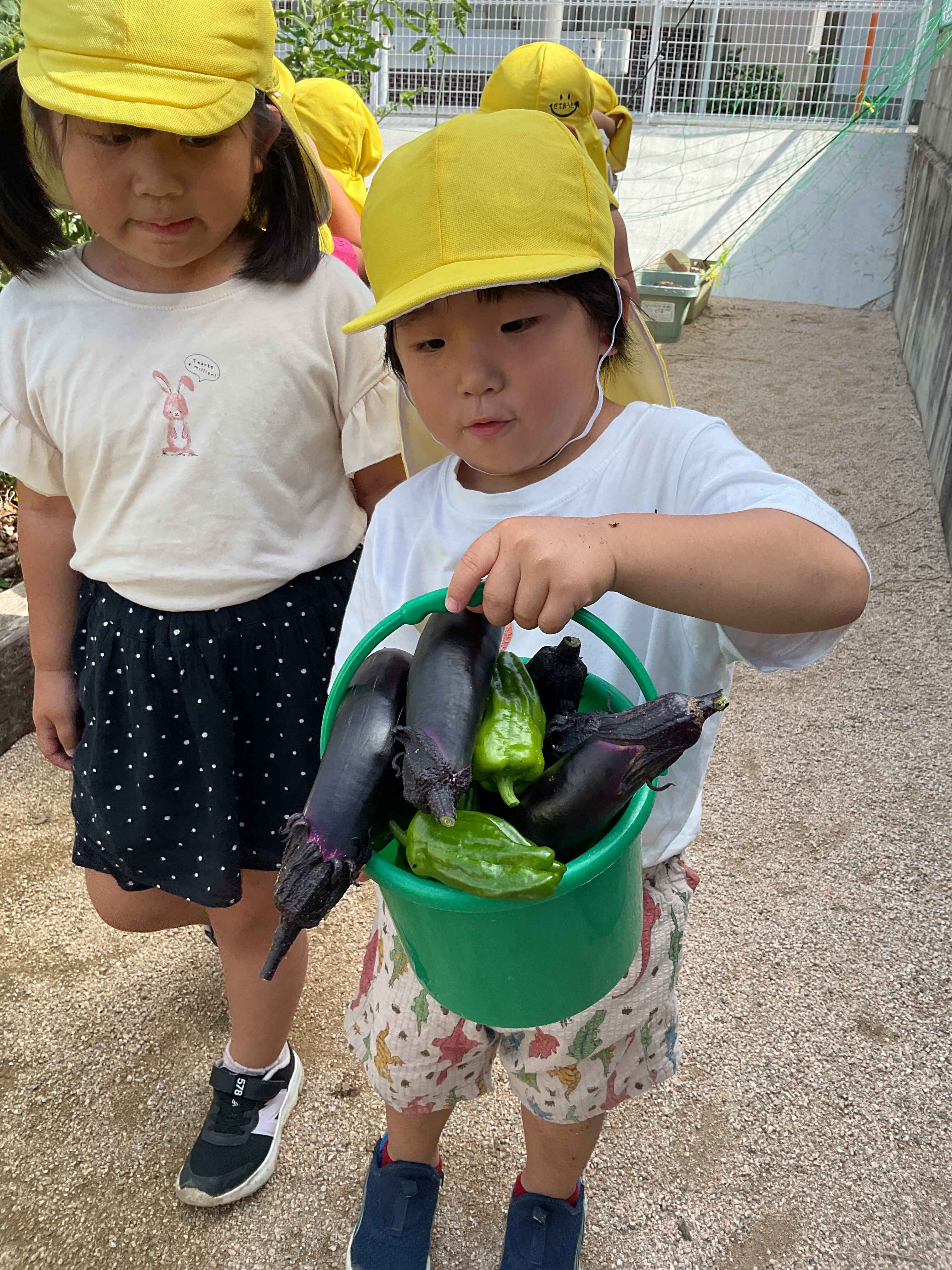 https://hoiku.shopro.co.jp/hoiku/img/2026/07/225318217202622010.jpg