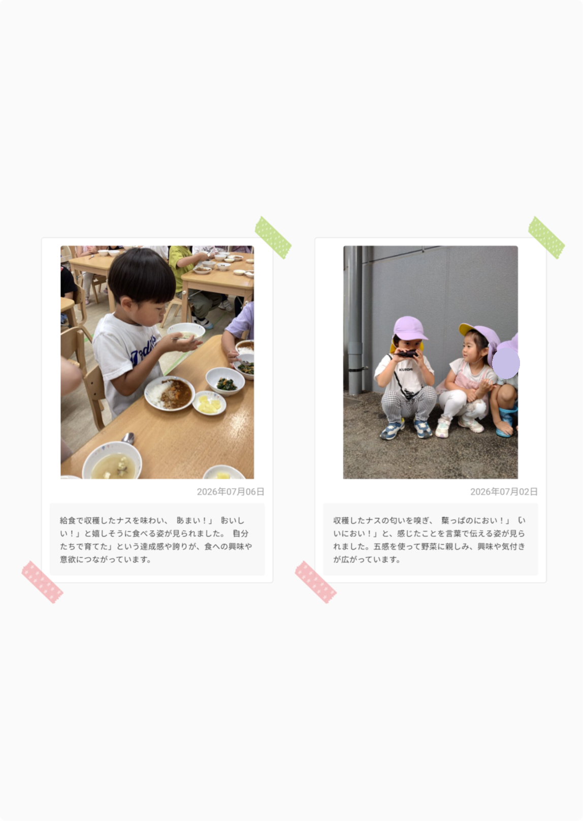 https://hoiku.shopro.co.jp/hoiku/img/2026/07/303316227202632020.png