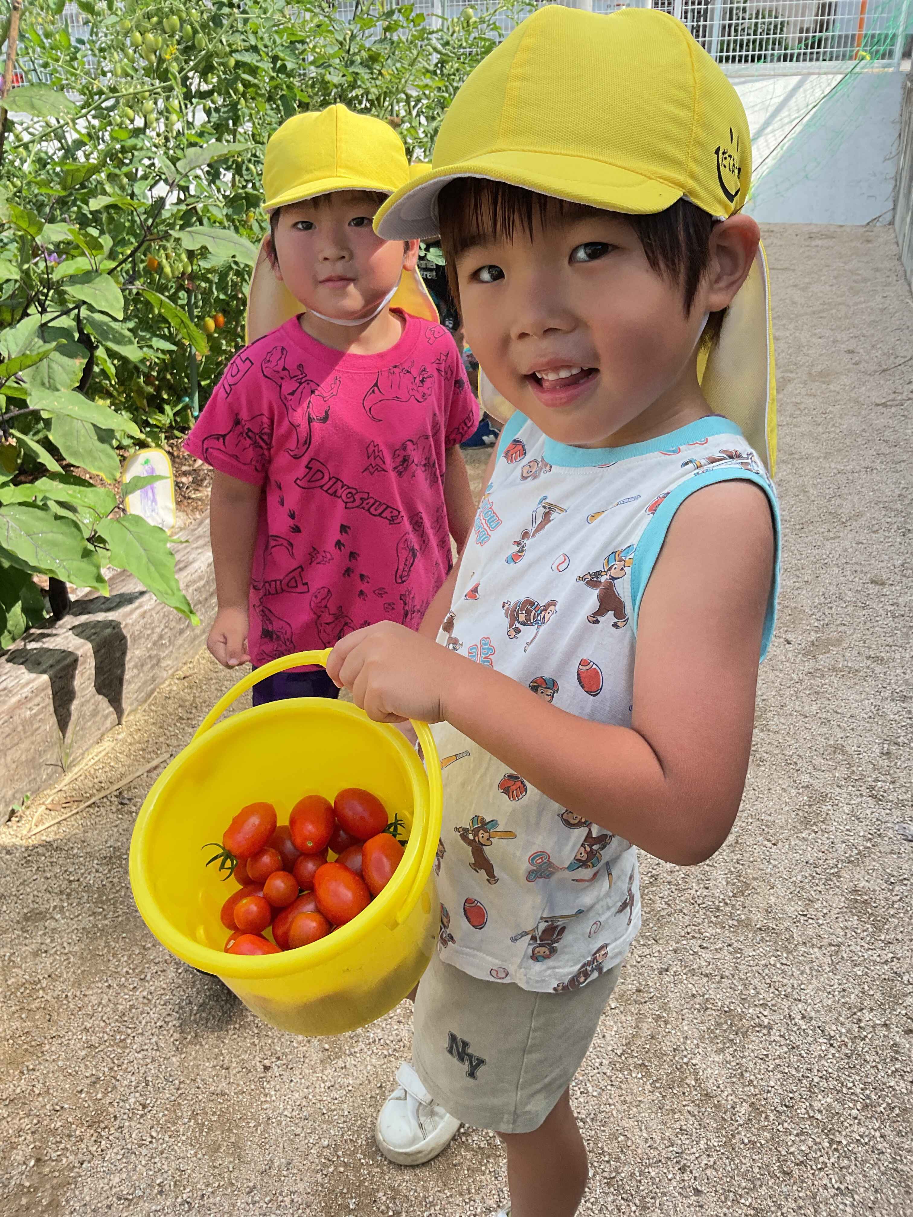 https://hoiku.shopro.co.jp/hoiku/img/2026/07/545318217202622010.jpg