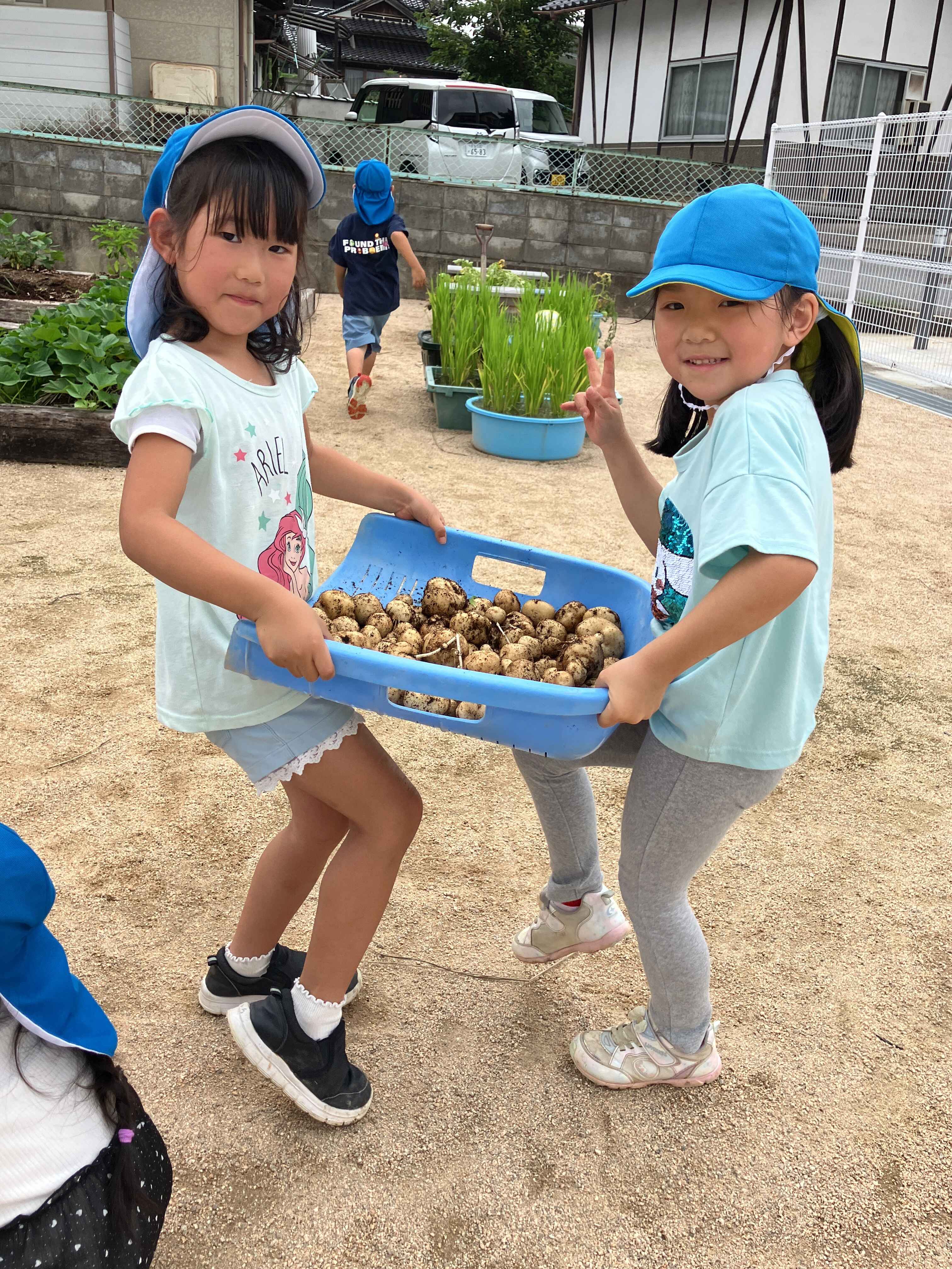 https://hoiku.shopro.co.jp/hoiku/img/2026/07/545518217202622010.jpg