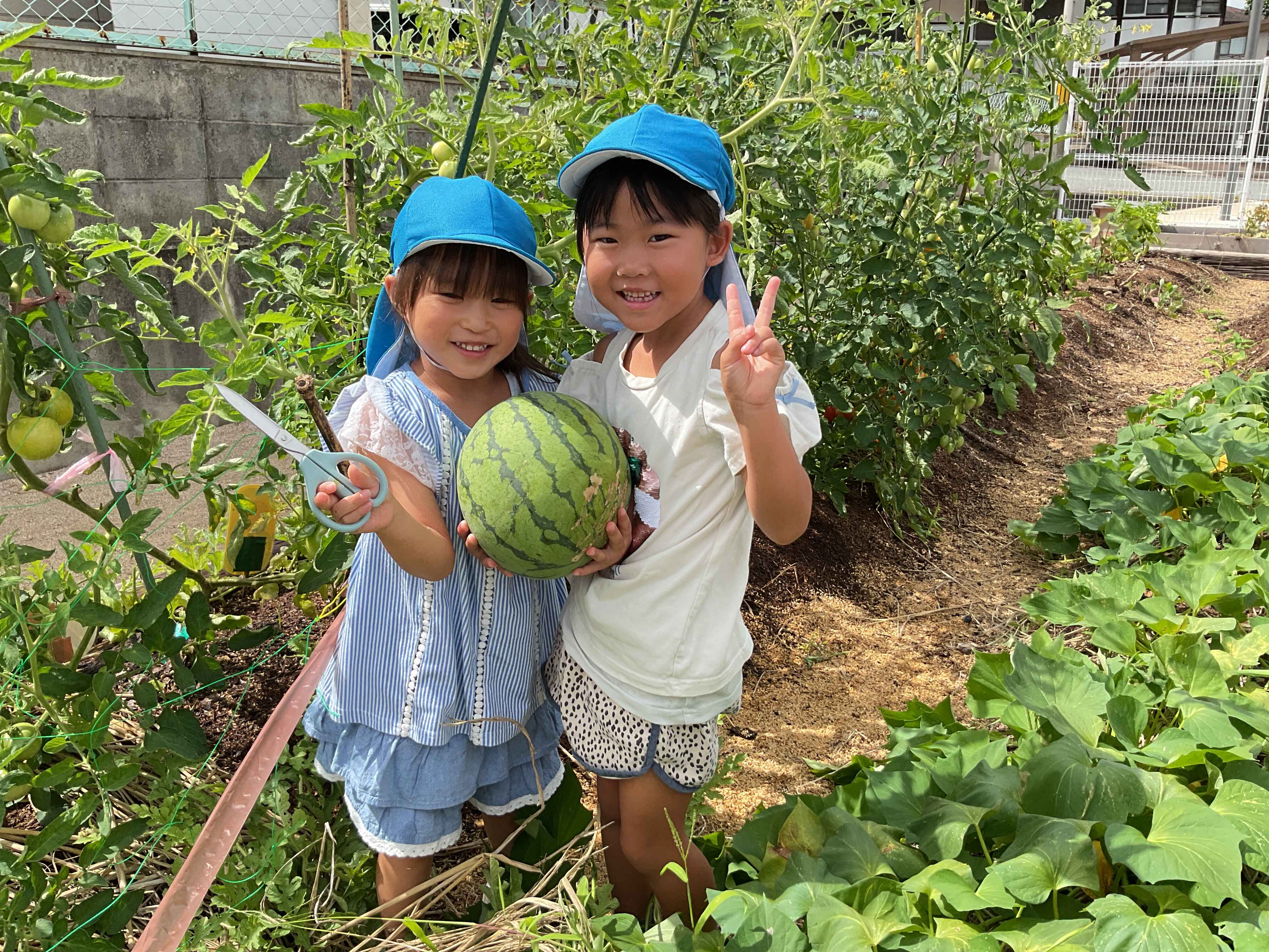 https://hoiku.shopro.co.jp/hoiku/img/2026/07/6019217202622010.jpg